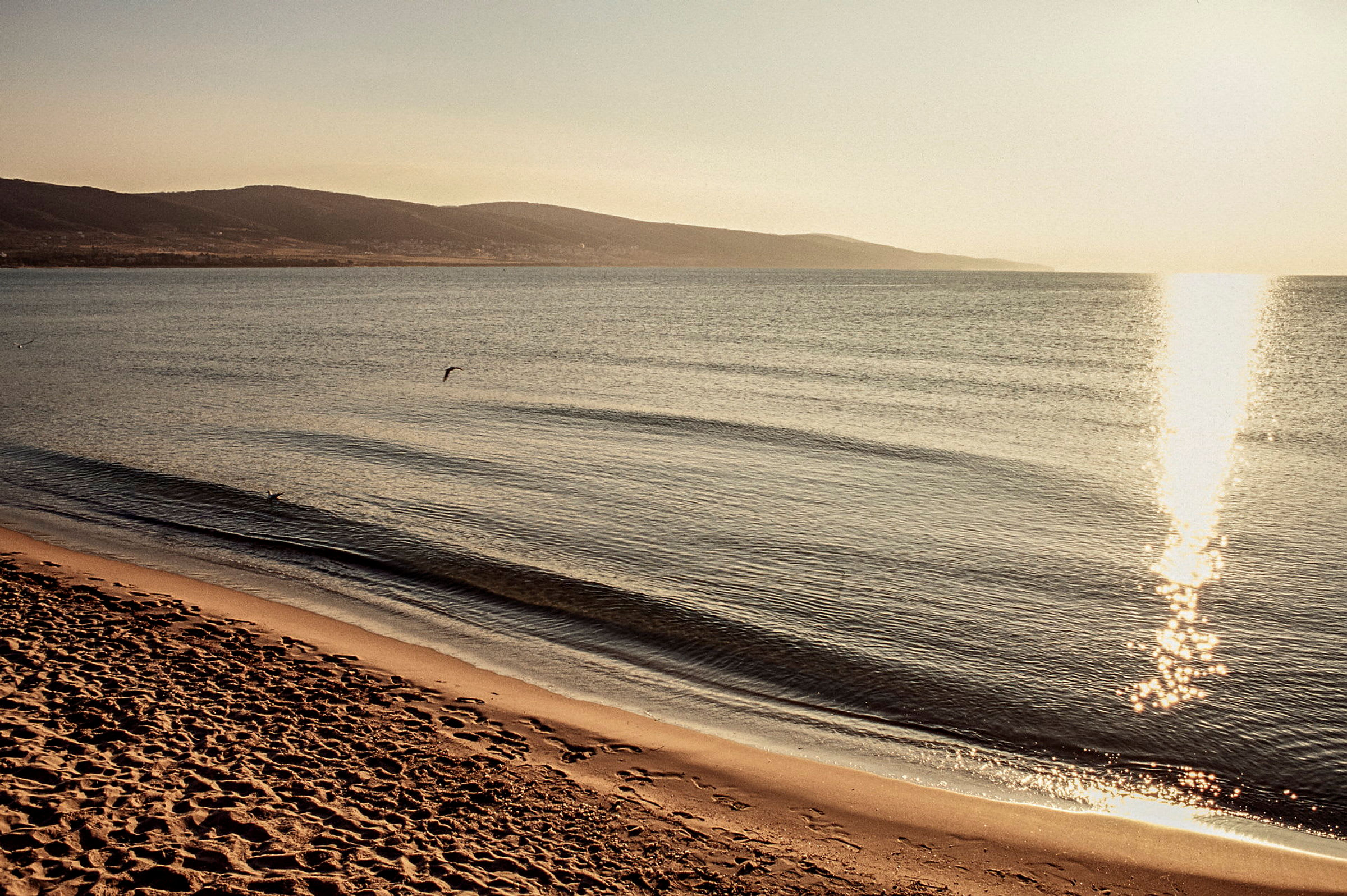Strand ved havet med sand og bølger i aftenlys. (AI-genereret tekst)