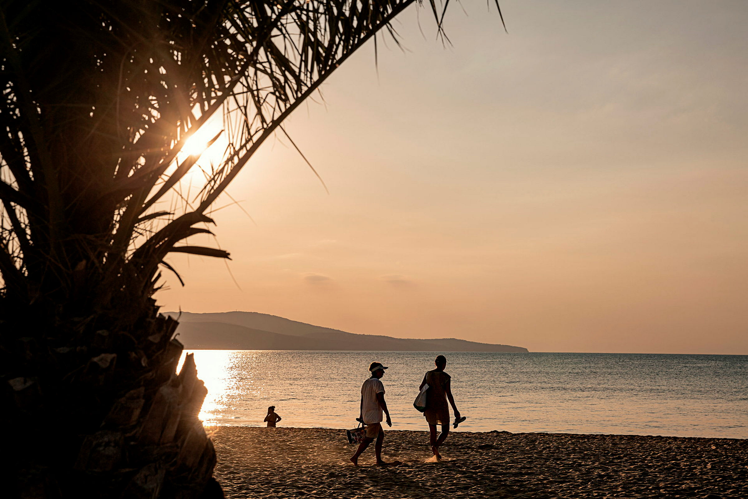 To personer går på en strand ved solnedgang, med en palme i forgrunden. (AI-genereret tekst)