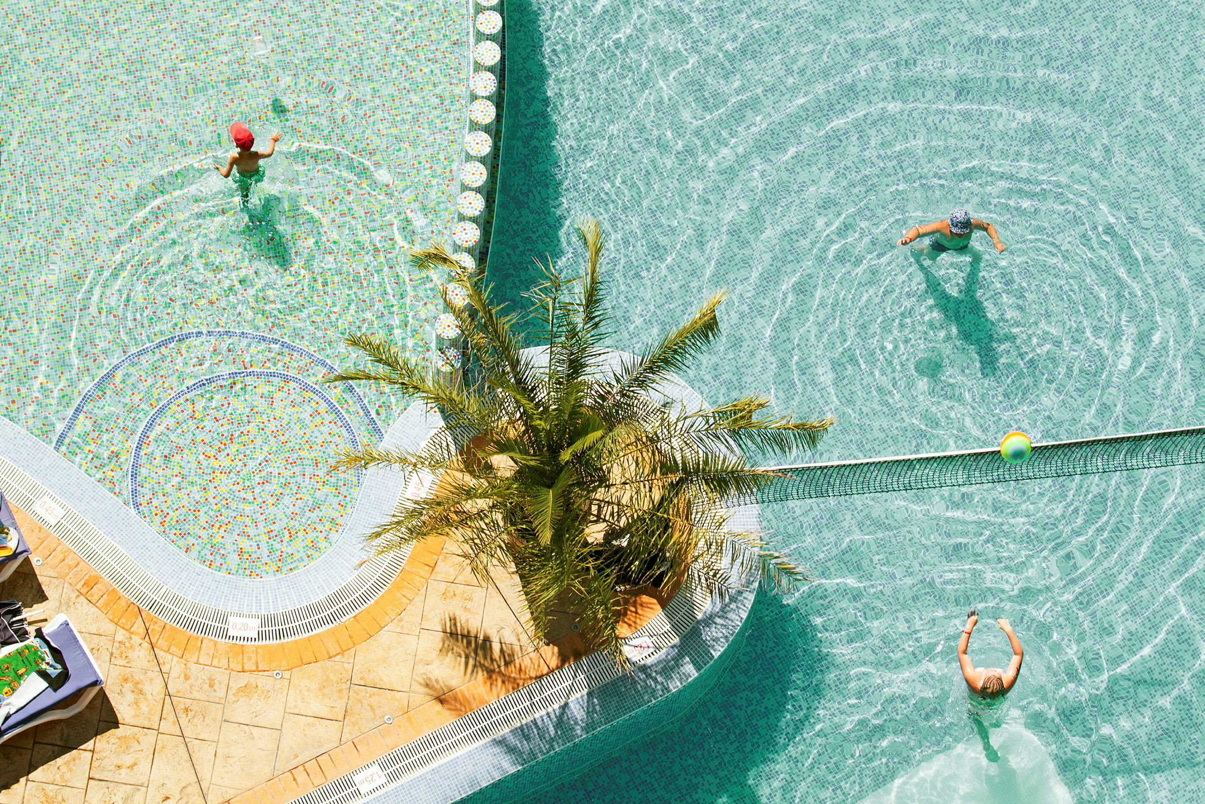 Udendørs pool med mennesker der leger i vandet. En palme står ved kanten af poolen. (AI-genereret tekst)
