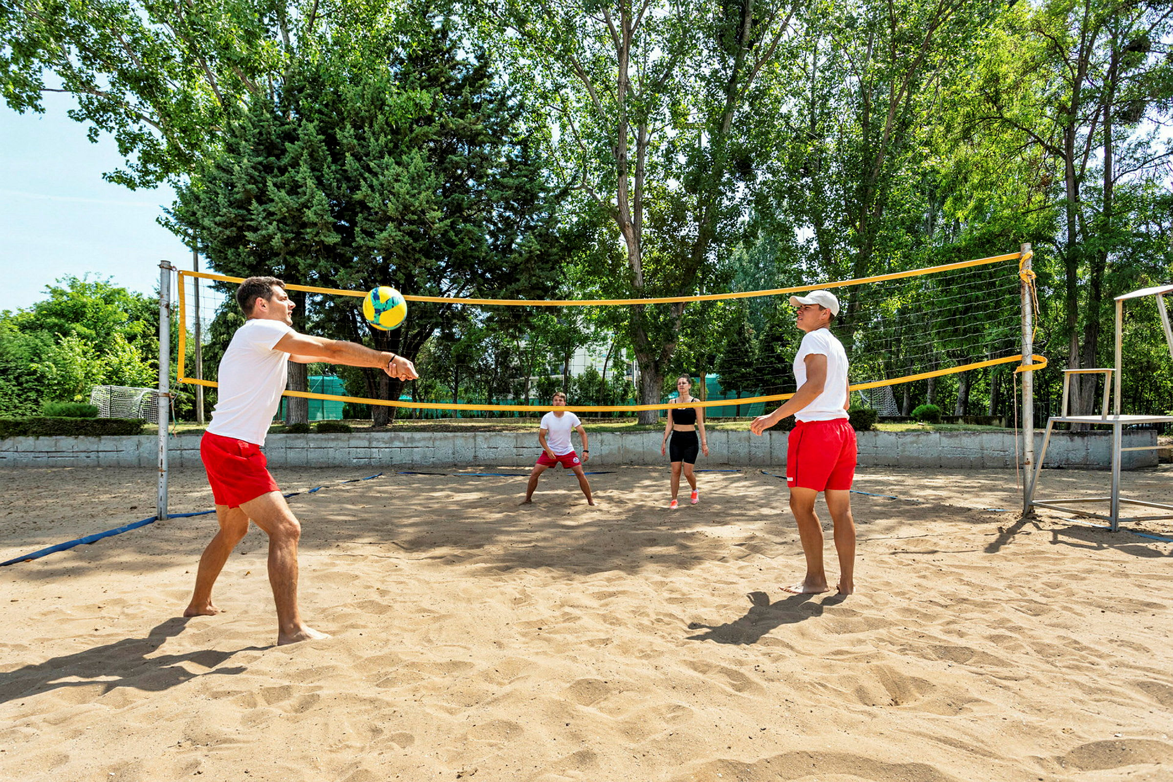Personer spiller volleyball på en sandbane udendørs omgivet af grønne træer. (AI-genereret tekst)