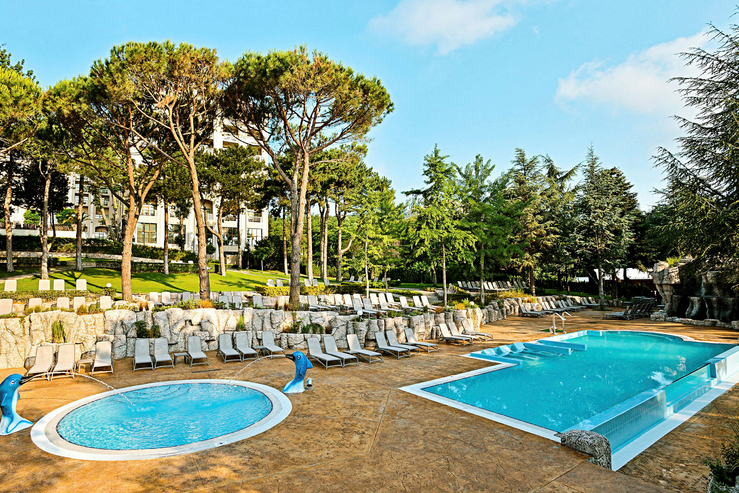 En udendørs pool med liggestole omgivet af træer og grønt. (AI-genereret tekst)