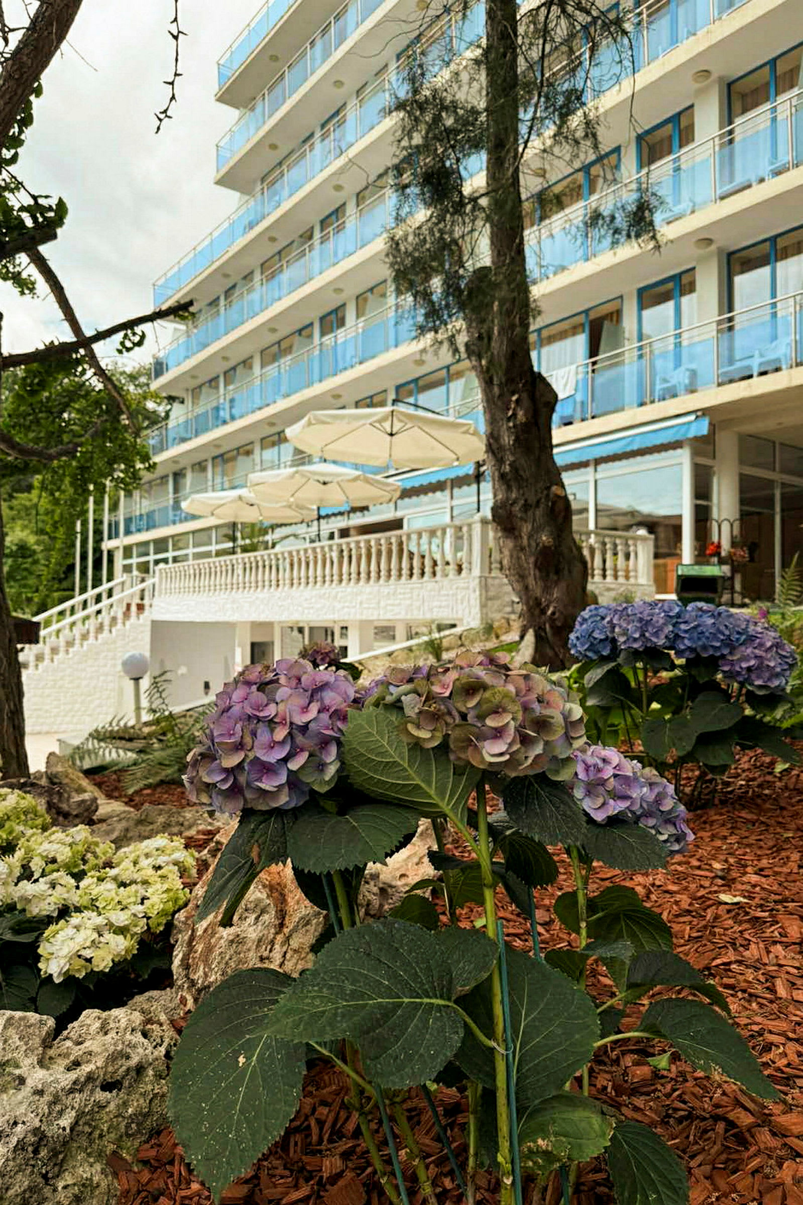 Et hotel med flere etager og altaner, omgivet af blomstrende hortensiaer og træer. (AI-genereret tekst)