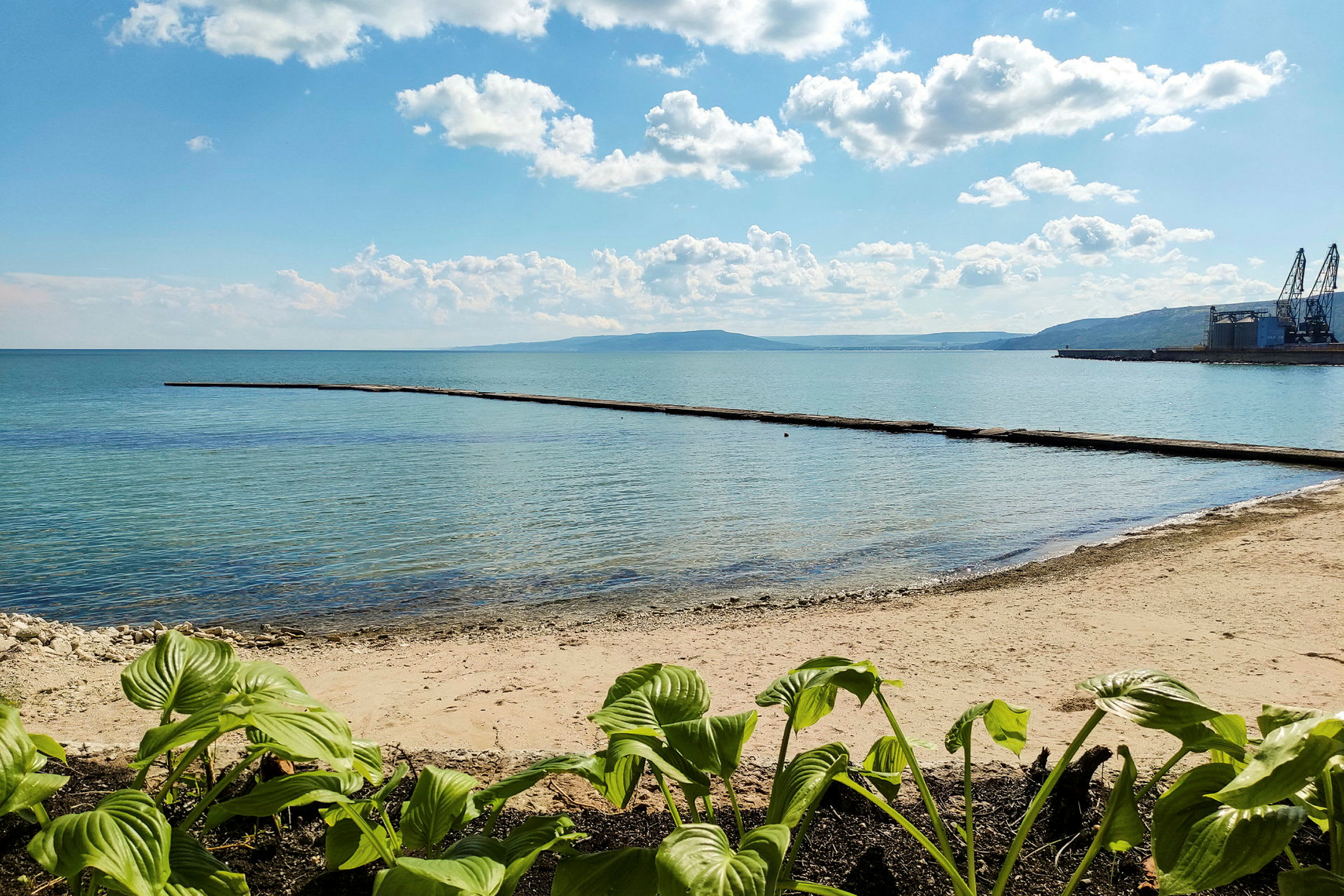Udsigt over en strand med klart blåt hav, moler og frodig vegetation i forgrunden. (AI-genereret tekst)
