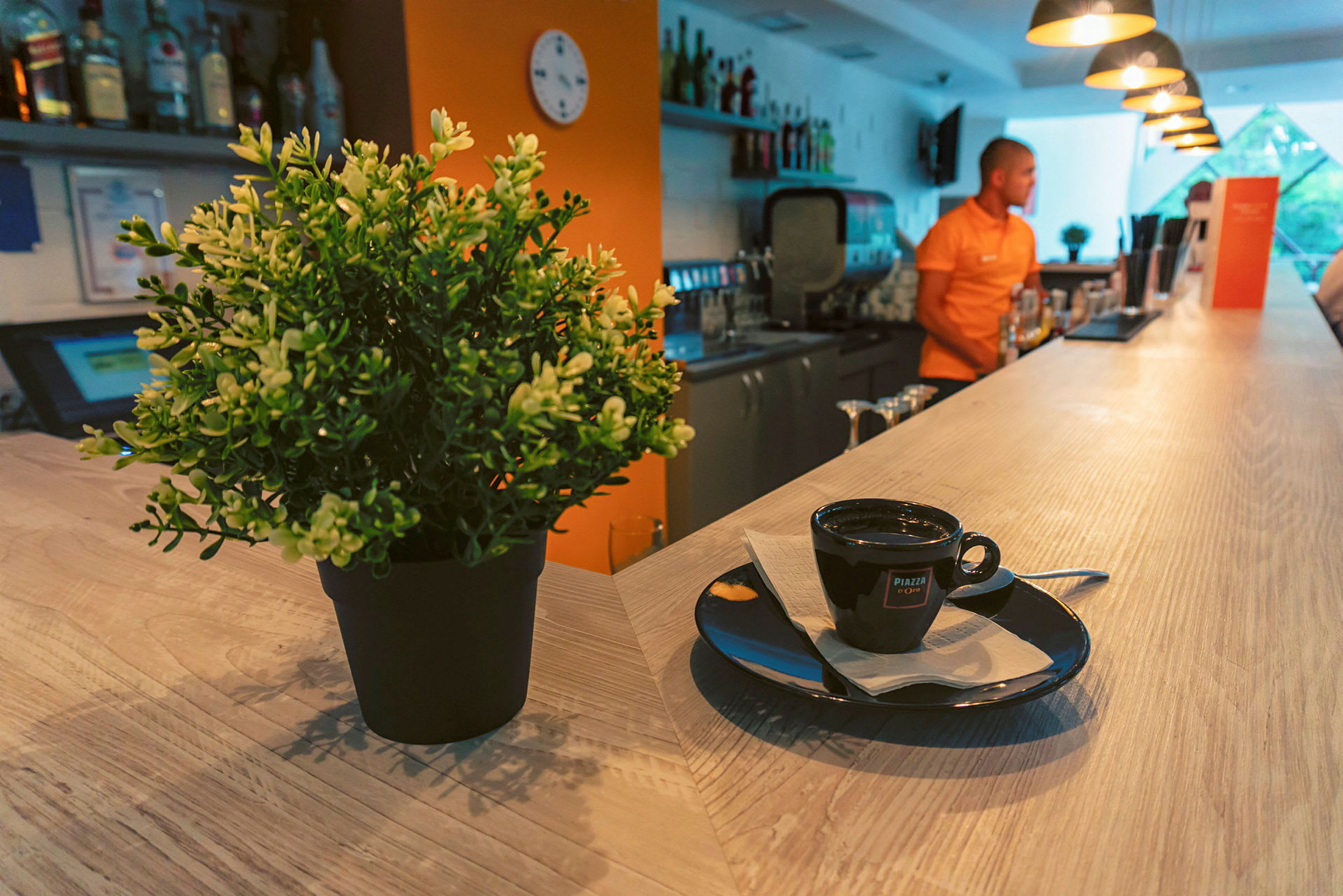 Et cafébord med en kaffekop og plante. (AI-genereret tekst)