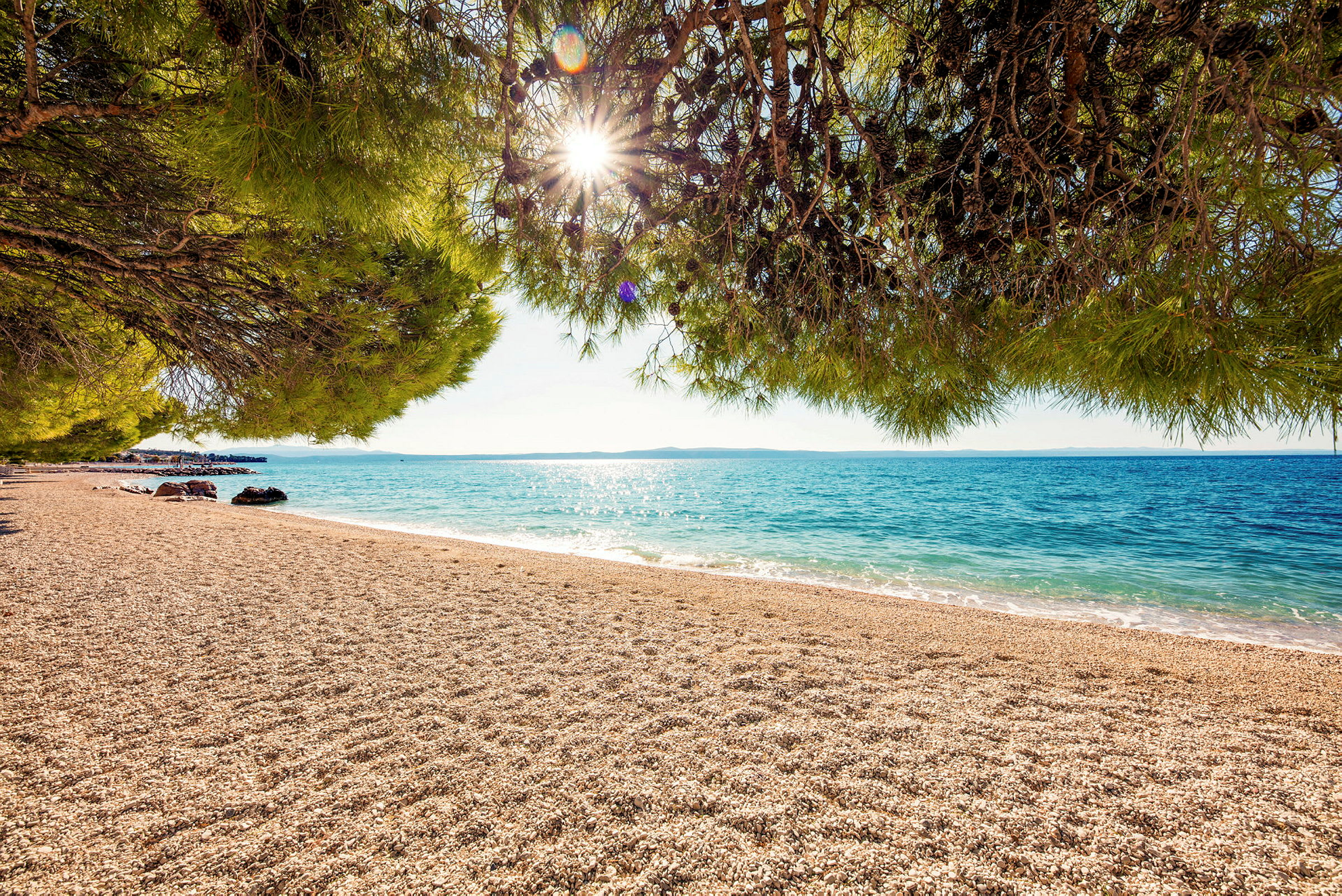 En solrig sandstrand med klart blåt hav og grønne træer ved stranden. (AI-genereret tekst)