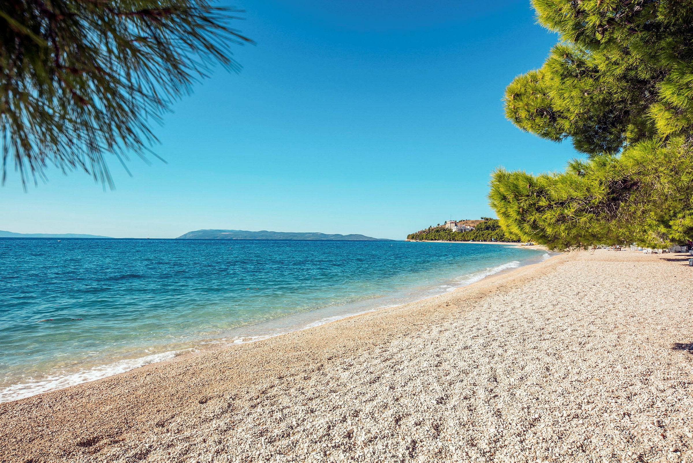 En solrig strand med grus og turkis vand, omgivet af grønne fyrretræer. (AI-genereret tekst)