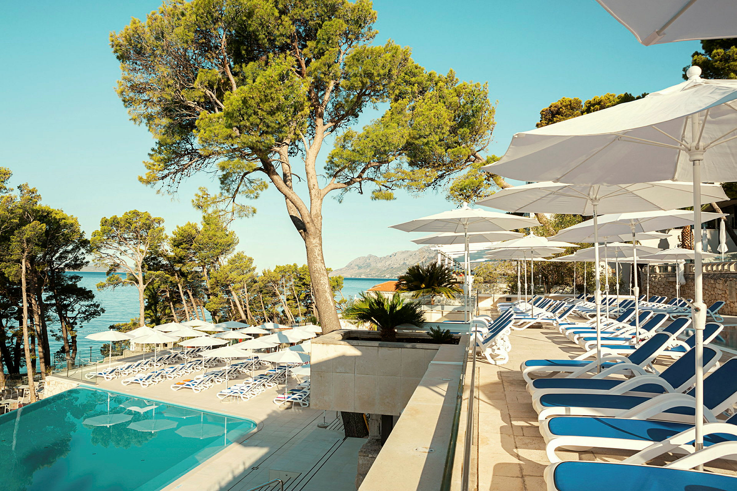En solterrasse med liggestole og parasoller ved en pool, omgivet af træer og udsigt over havet. (AI-genereret tekst)