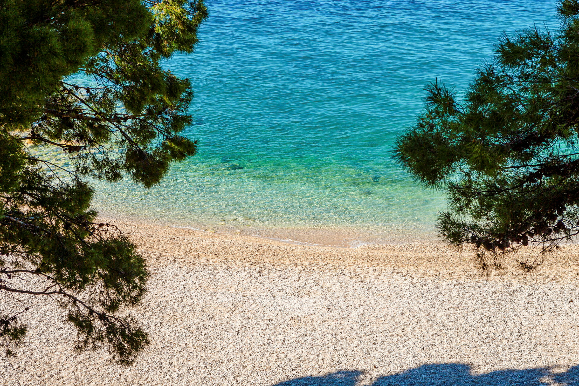 Billede af en strand med klart blåt vand og grene af træer i forgrunden. (AI-genereret tekst)