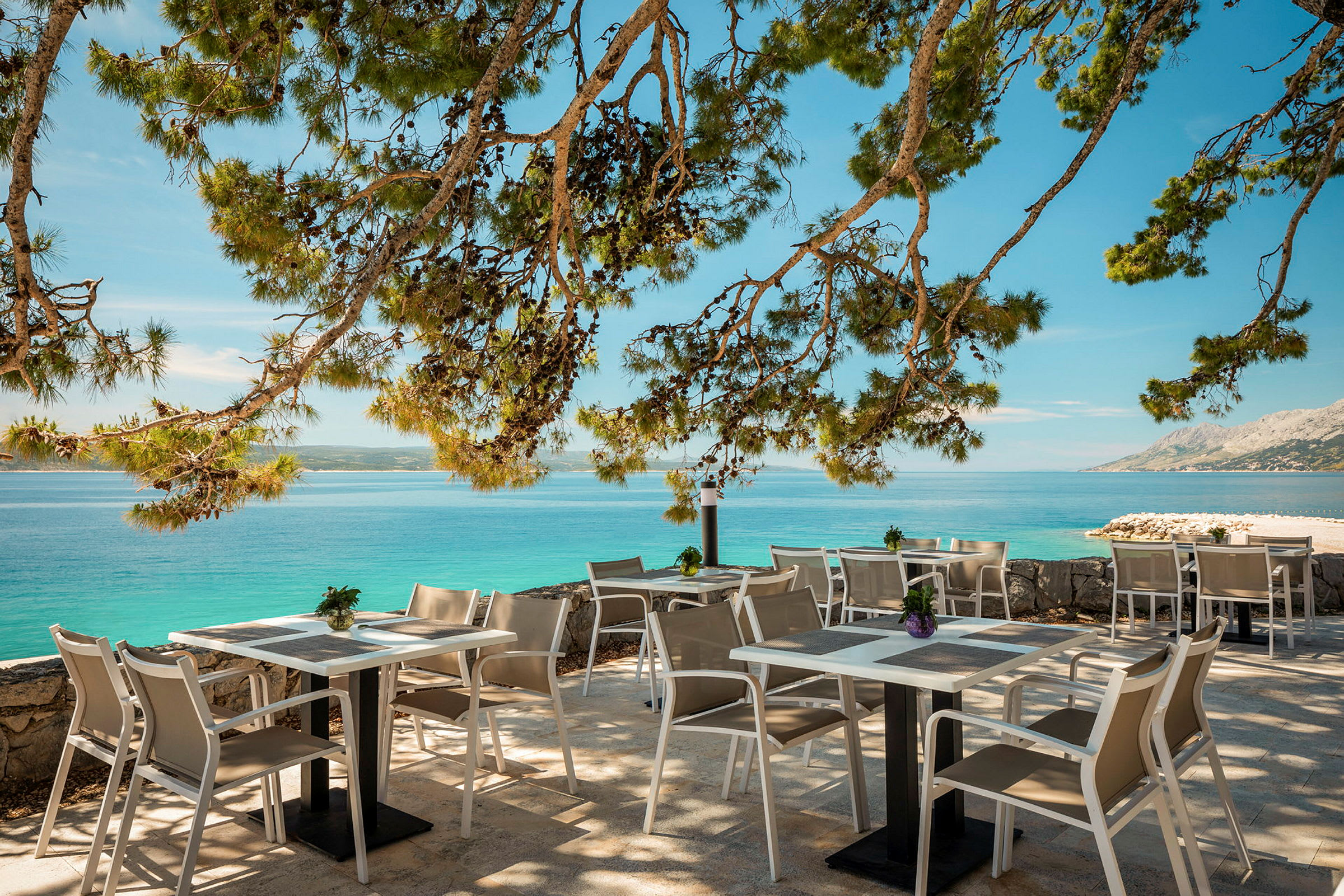 Udendørs serveringsområde med stole og borde ved havet, med grene, der giver skygge. (AI-genereret tekst)