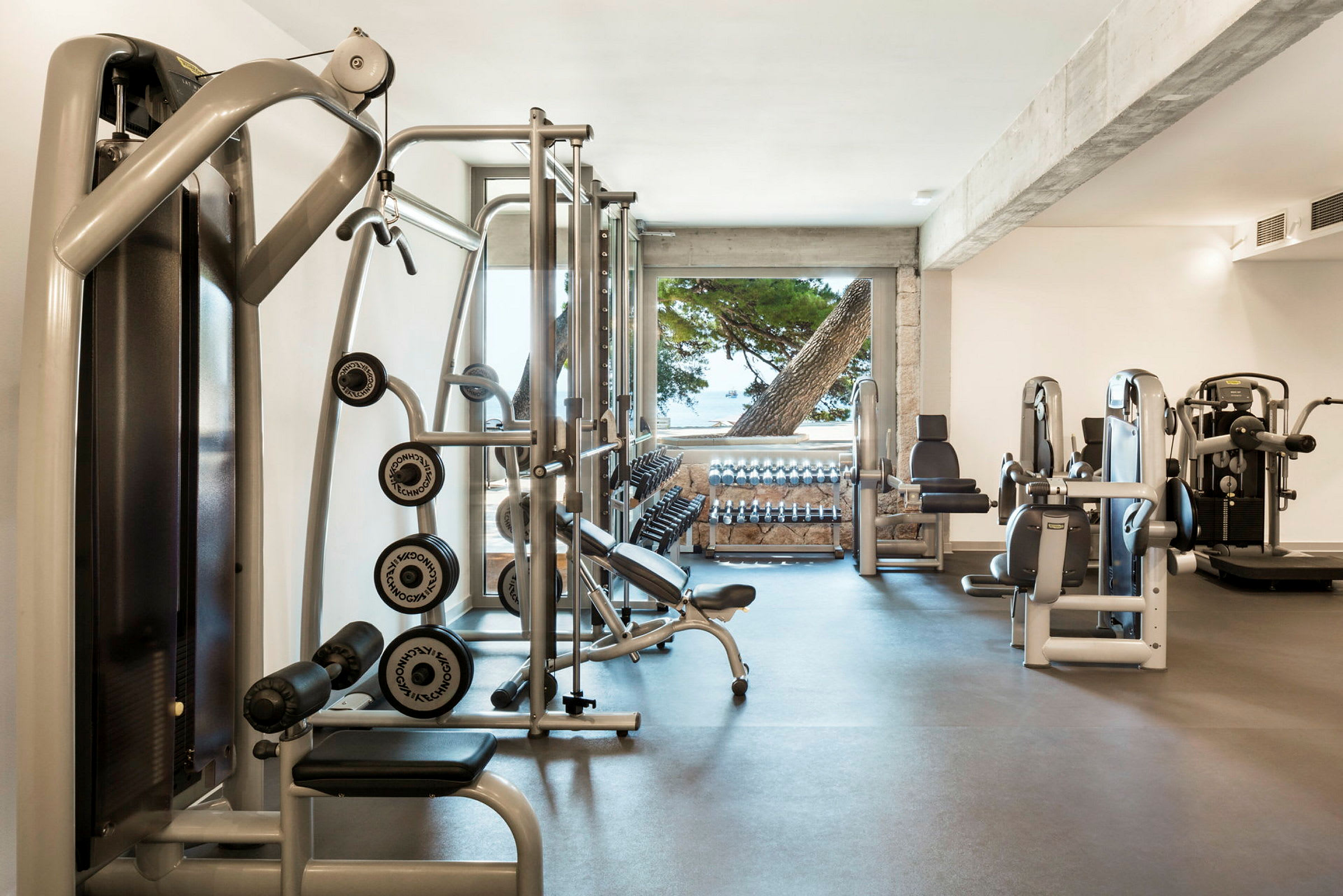 Et fitnesscenter med træningsmaskiner og vægte, vindue med udsigt til træer og hav. (AI-genereret tekst)