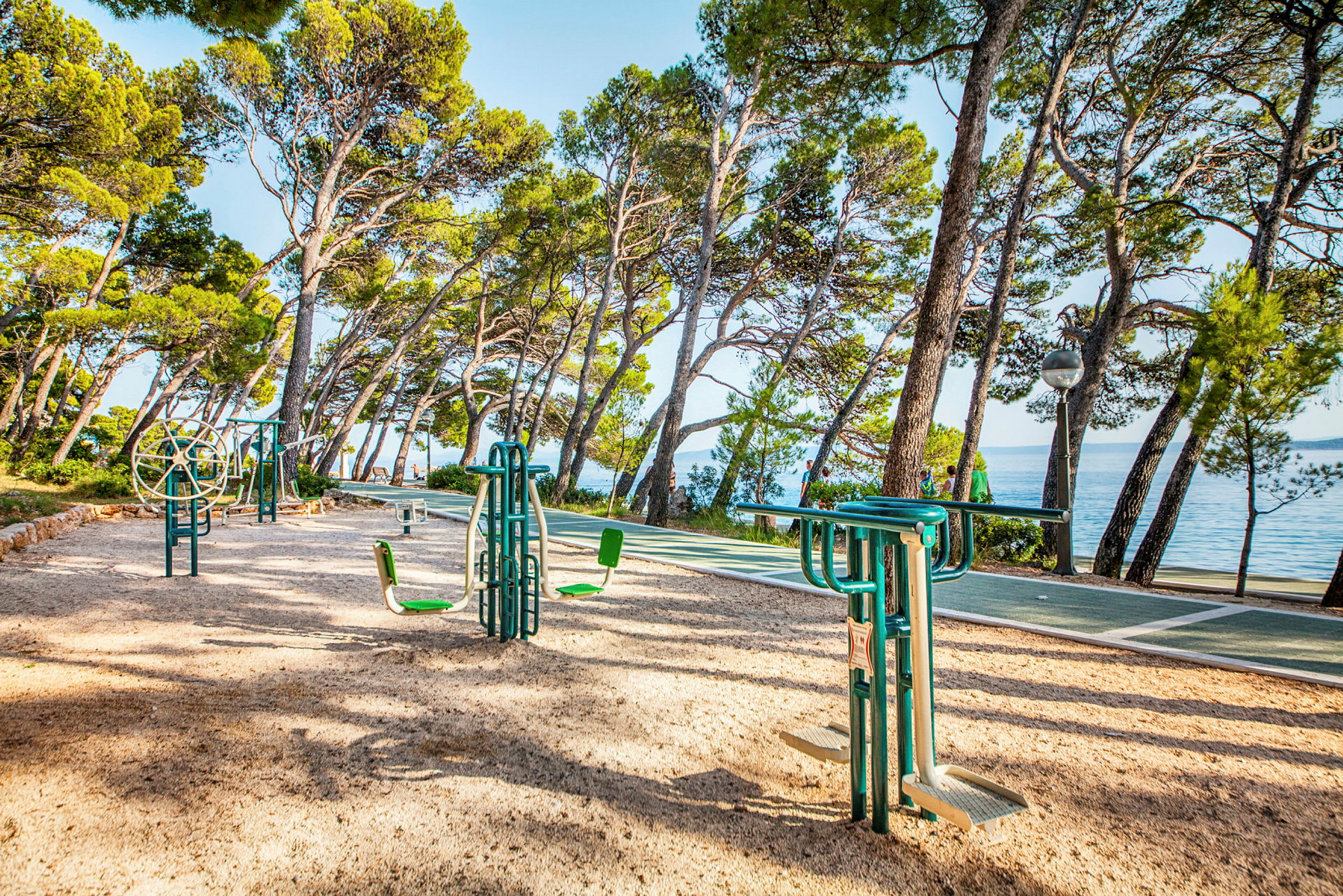 Udendørs fitnessområde med træningsudstyr blandt fyrretræer ved stranden. (AI-genereret tekst)