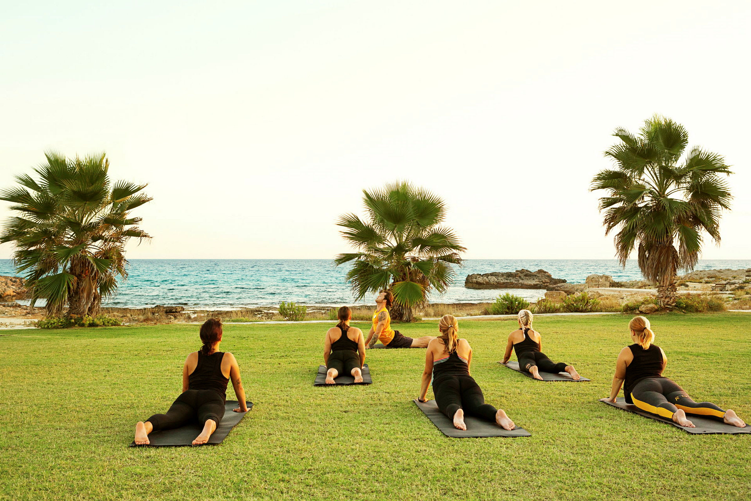 Folk laver yoga på græsset med udsigt over havet og palmer. (AI-genereret tekst)