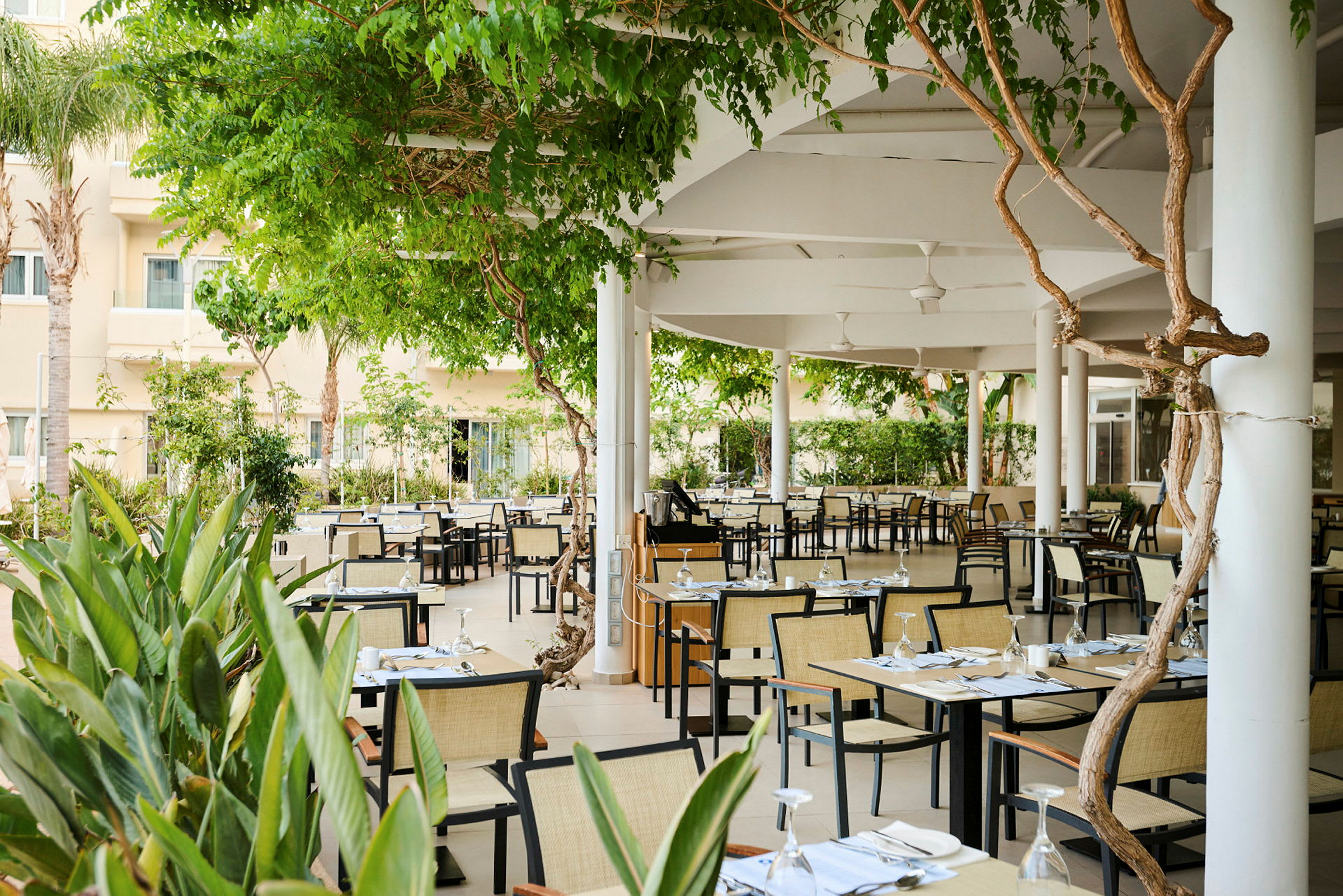 Udendørs restaurantområde med borde og stole, omgivet af planter og træer. (AI-genereret tekst)