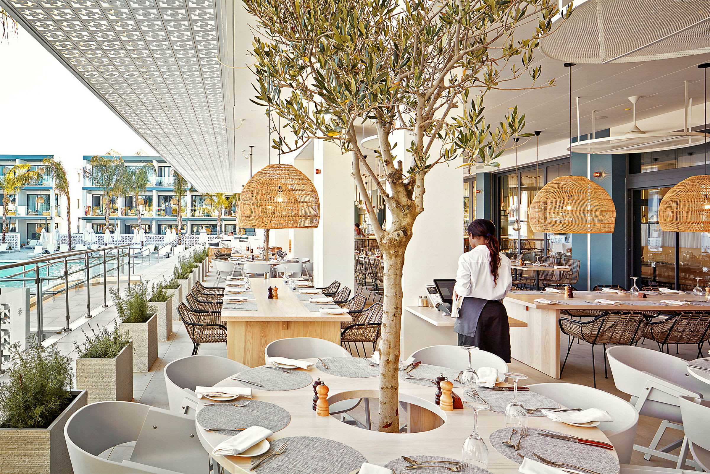 En restaurant med udsigt over en pool og moderne lejligheder, inkluderer en oliventræsdekoration og rottinglamper. (AI-genereret tekst)