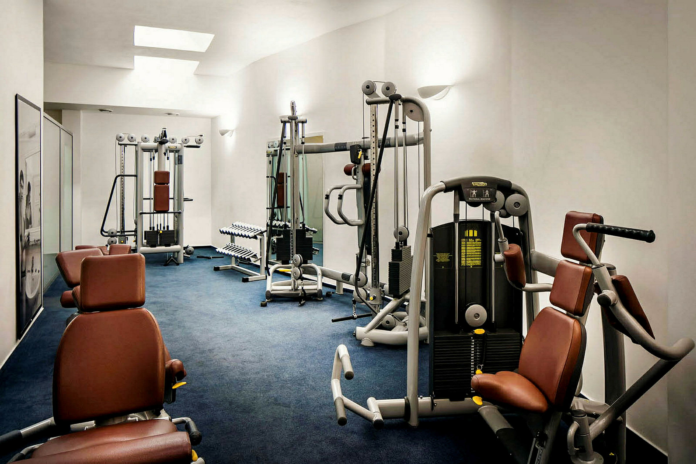 Et fitnessrum med forskellige træningsmaskiner og et håndvægtsstativ. (AI-genereret tekst)
