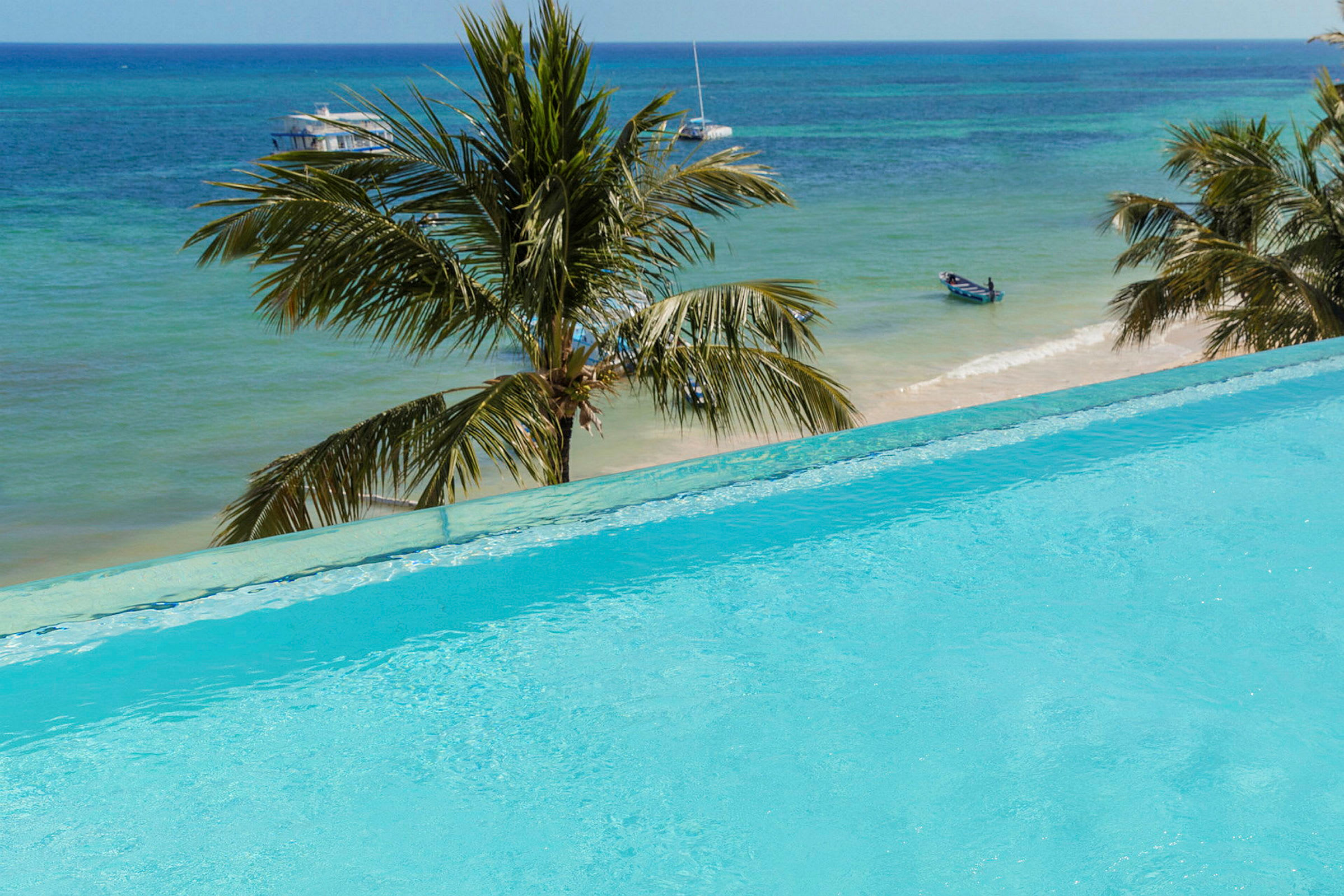 En infinity-pool med udsigt over en sandstrand, palmer og havet. (AI-genereret tekst)