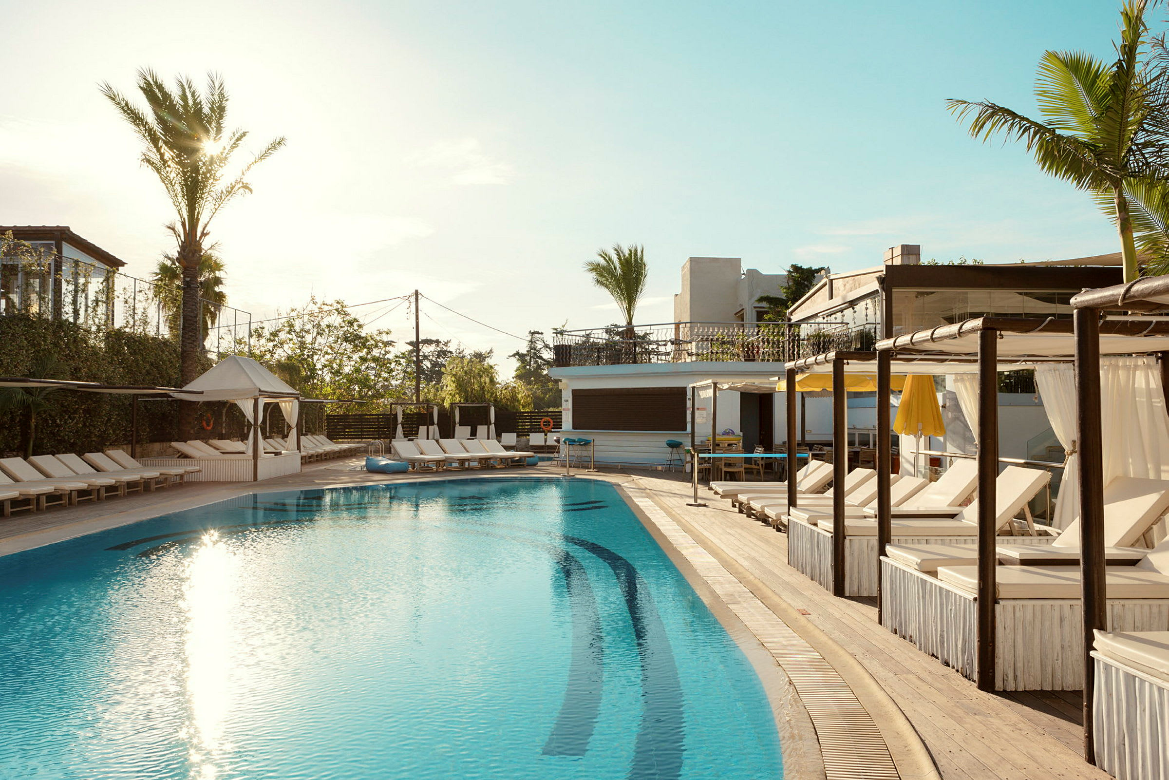 Billede af en udendørs swimmingpool omgivet af solsenge og palmer, med en klar blå himmel over. (AI-genereret tekst)