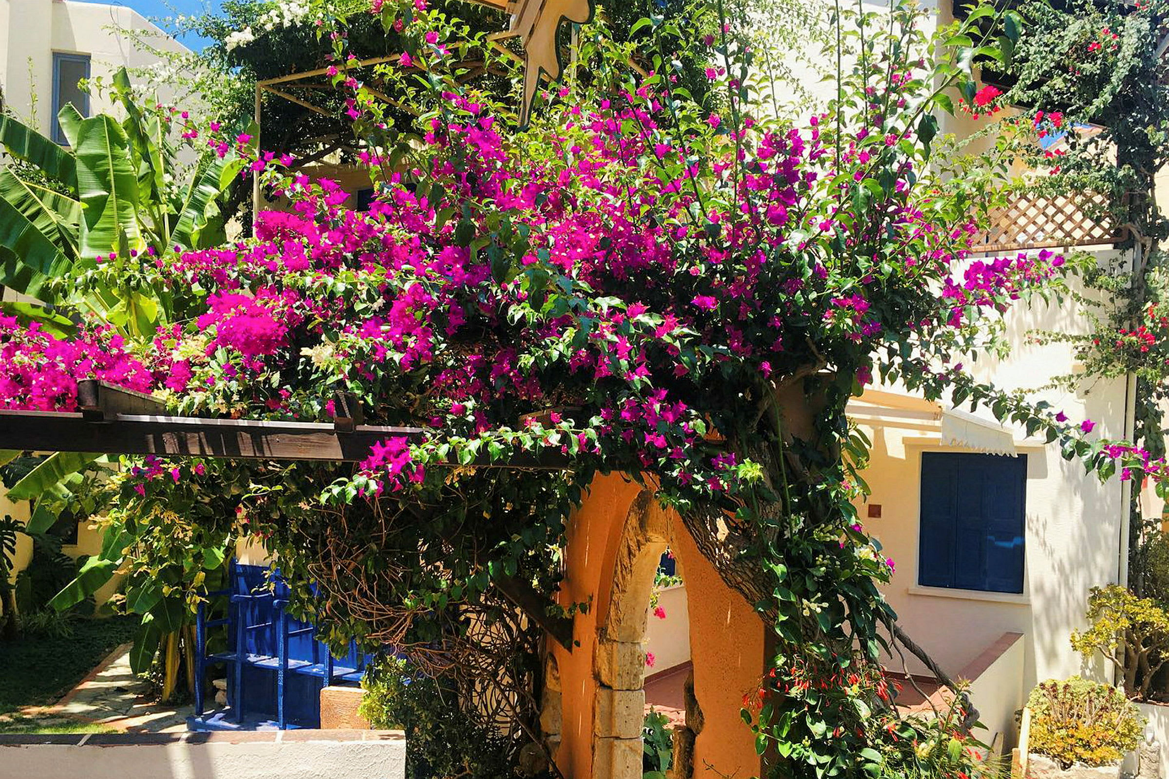 En pergola med farverige rosa blomster og grønne planter ved siden af en bygning. (AI-genereret tekst)