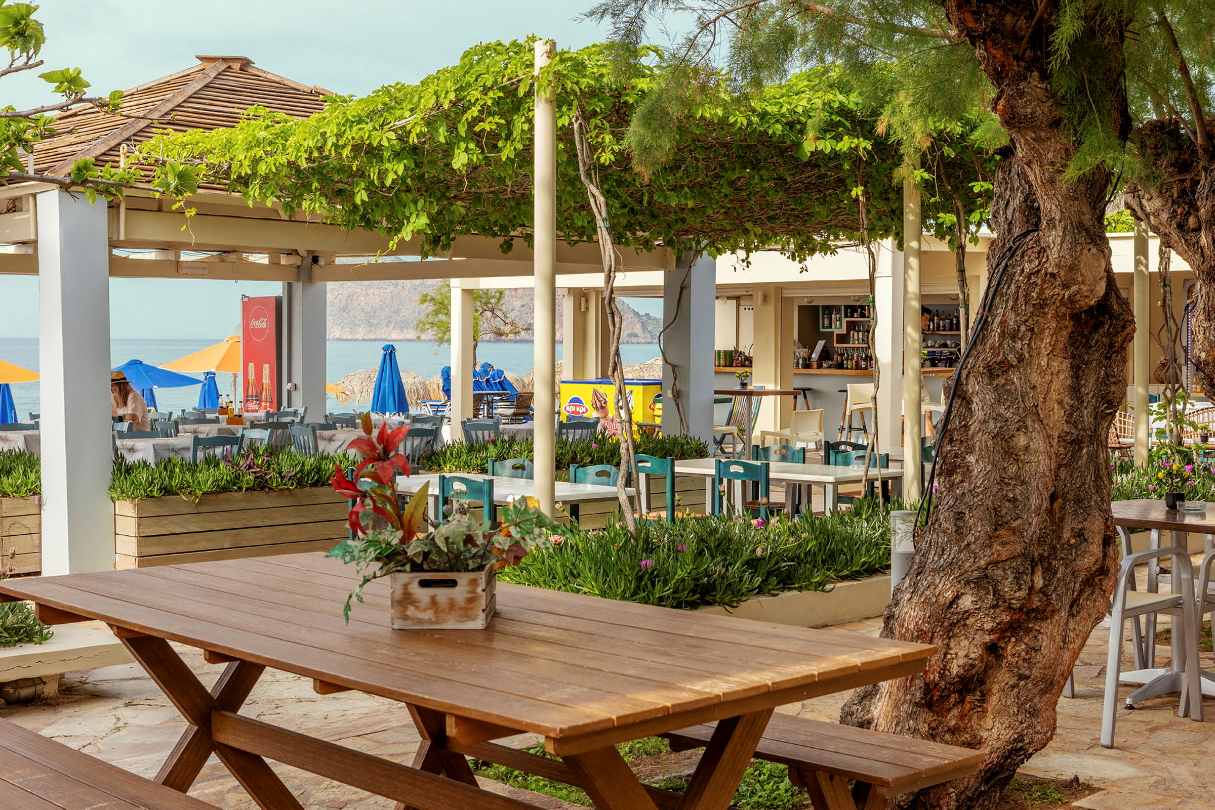 En udendørs restaurant med borde og stole under grønne pergolaer nær havet. (AI-genereret tekst)
