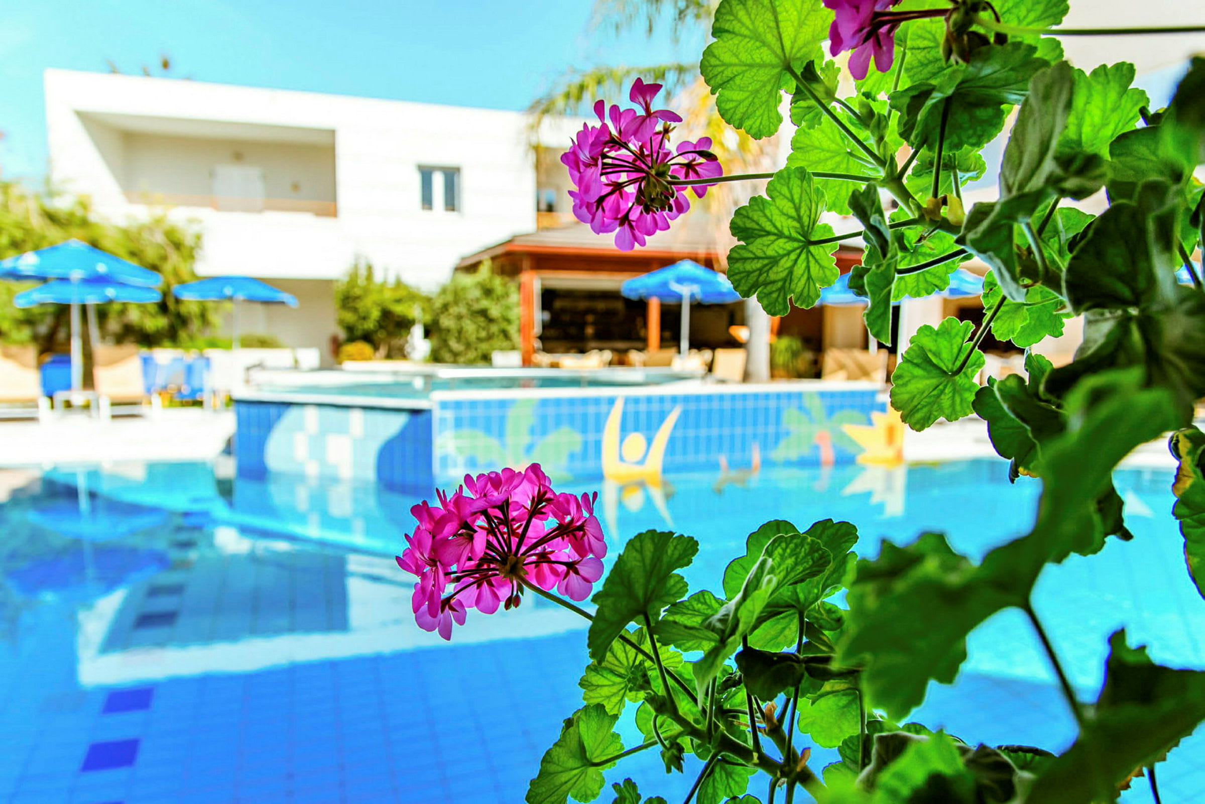 Nærbillede af lyserøde blomster ved en pool med blå parasoller og et hotel i baggrunden. (AI-genereret tekst)