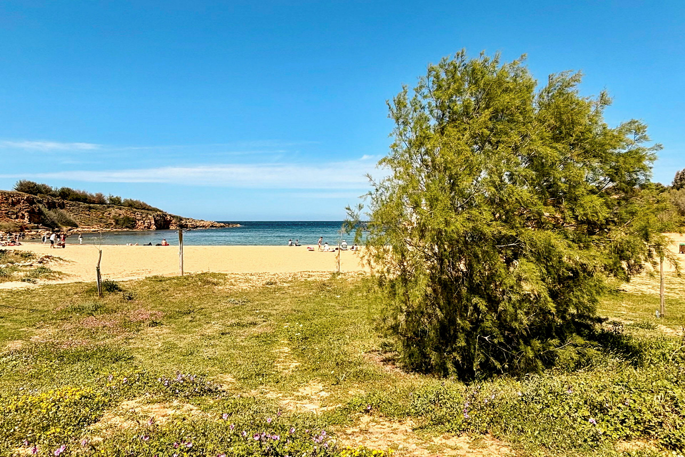 En sandstrand med mennesker, havet og frodig vegetation. (AI-genereret tekst)