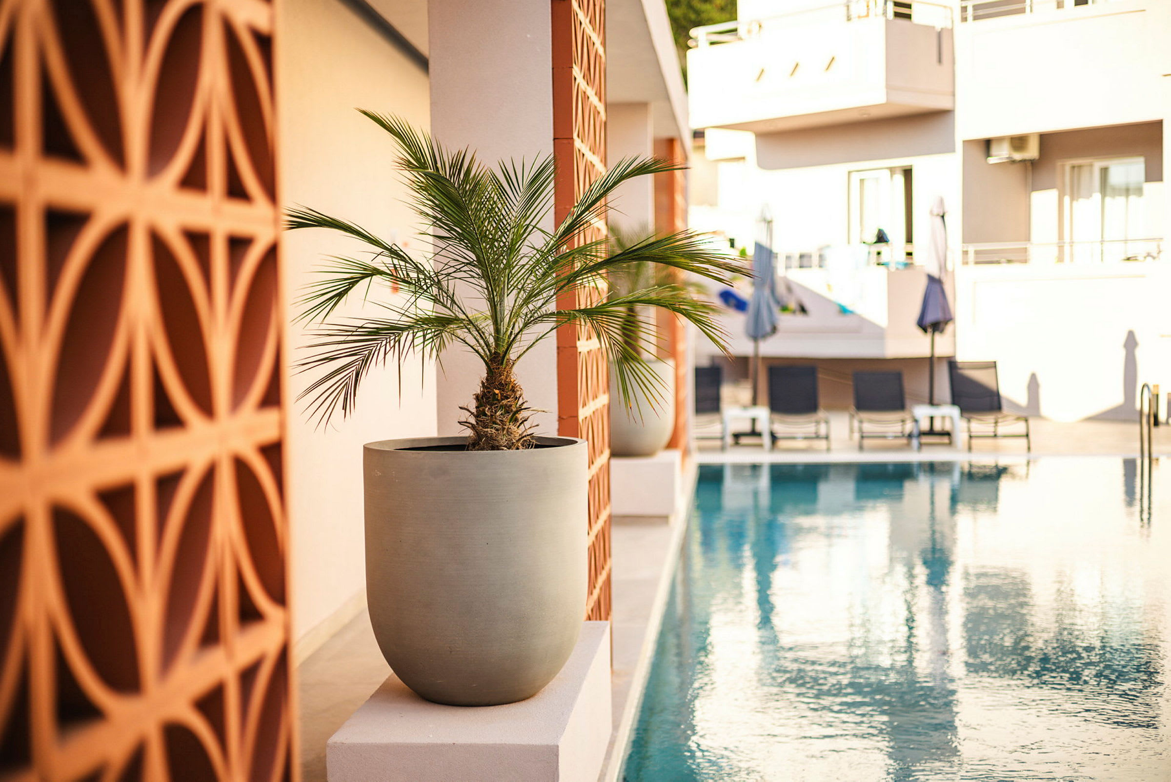 En vase med en lille palme på en kant ved siden af en pool på et hotel. (AI-genereret tekst)