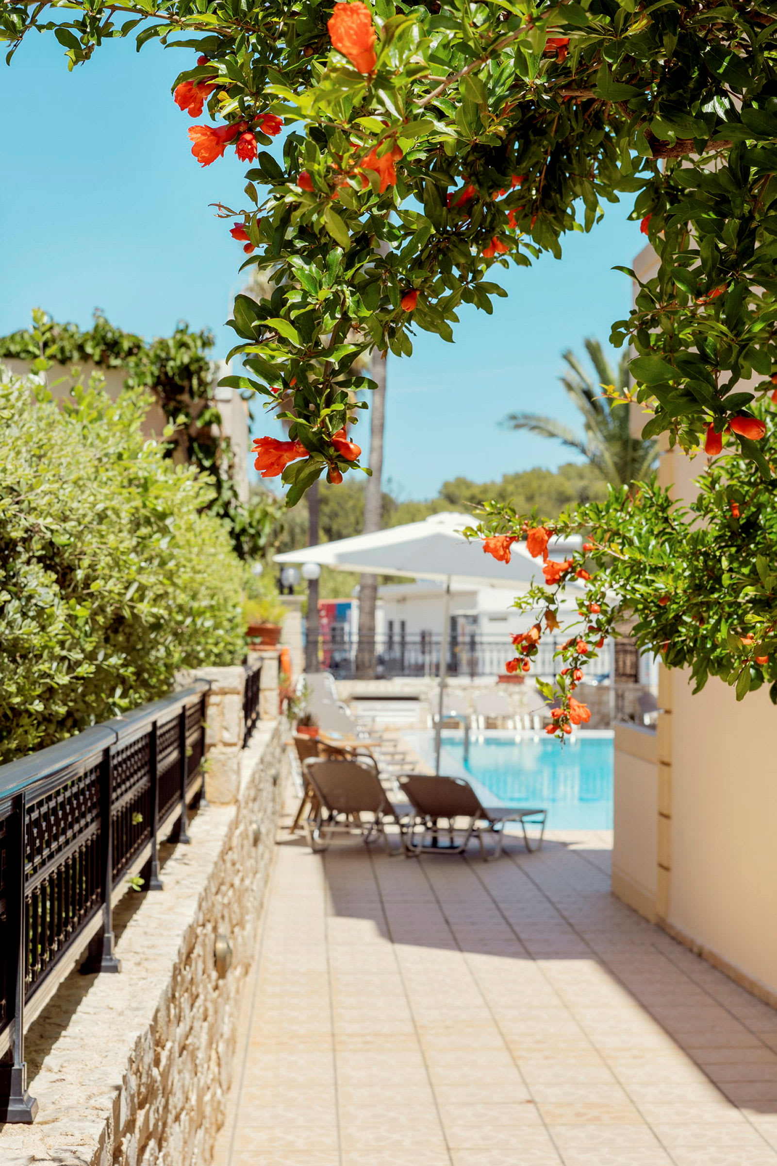 Plante med orange blomster i en have nær en pool. (AI-genereret tekst)