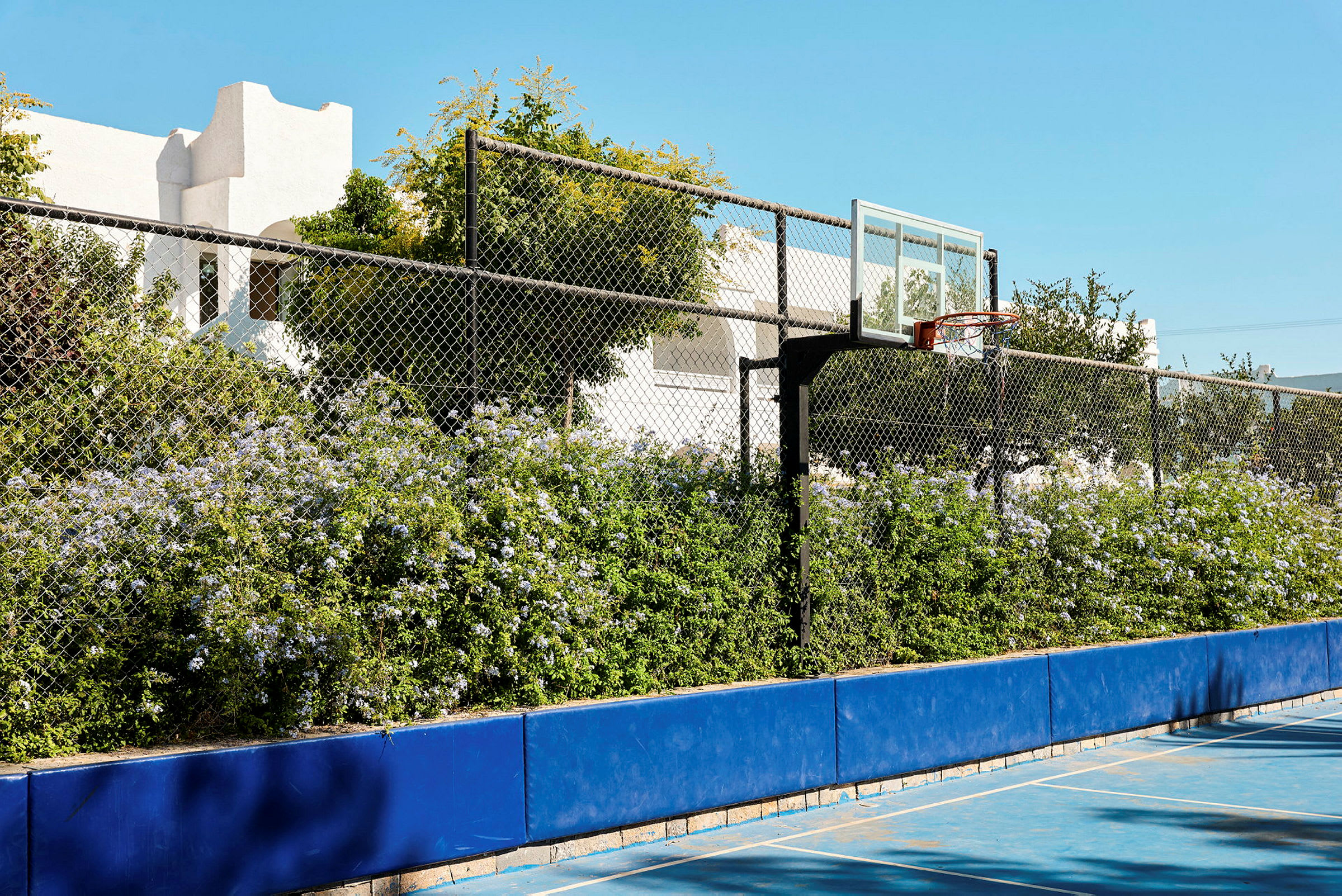 Billedet viser en basketballbane med blå markeringer og en basketballkurv. Bag banen er der en busk med blomster og et metalskel, der afgrænser området. I baggrunden ses bygninger og træer under en klar blå himmel. (AI-genereret tekst)