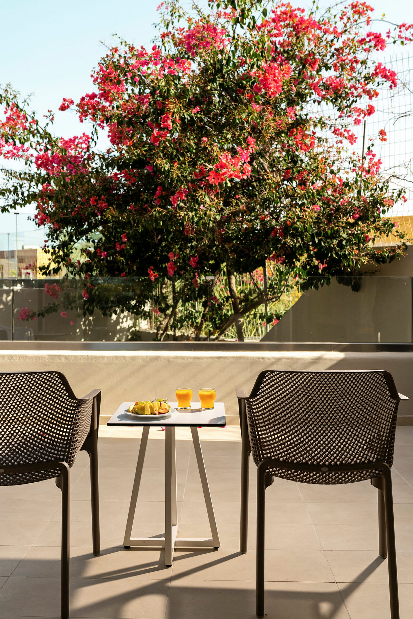 To stole og et bord med juice og frugt står på en terrasse med en blomstrende busk i baggrunden. (AI-genereret tekst)