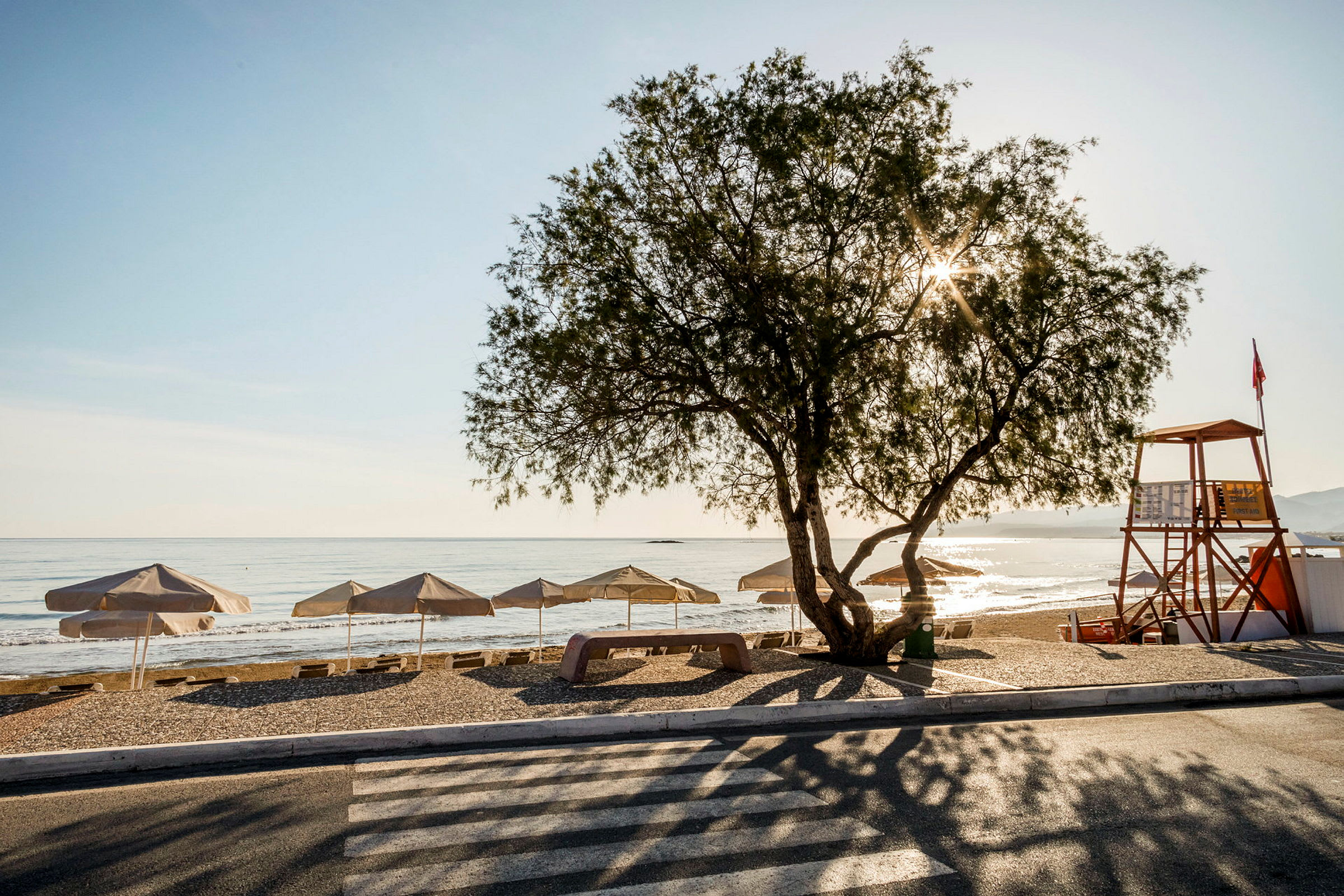 En strand med parasoller, bænke og et træ i forgrunden. Et livreddertårn er synligt til højre, og havet ses i baggrunden. (AI-genereret tekst)