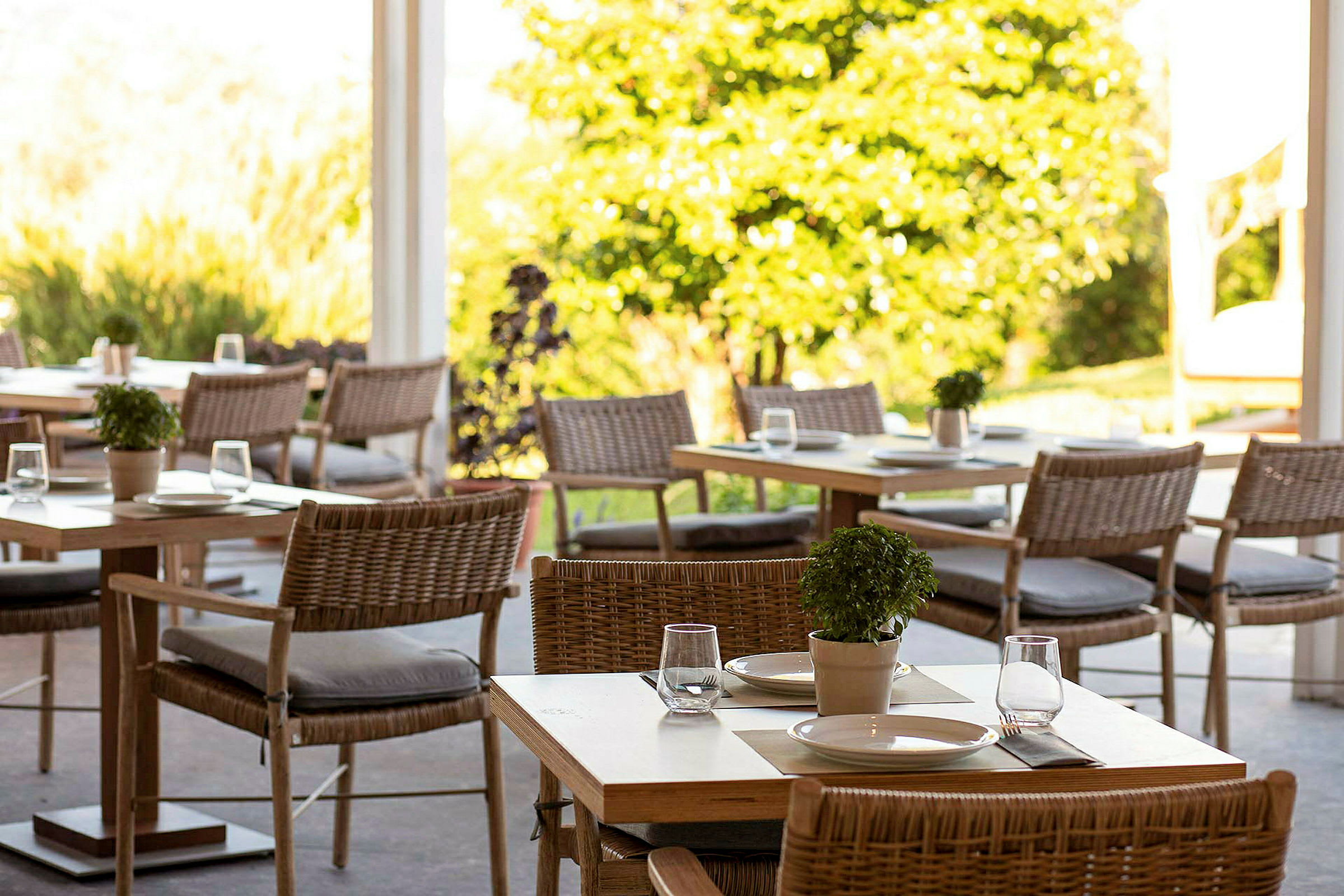Et luftigt område med borde og stole, dekoreret med små planter og serveringsopstillinger. (AI-genereret tekst)