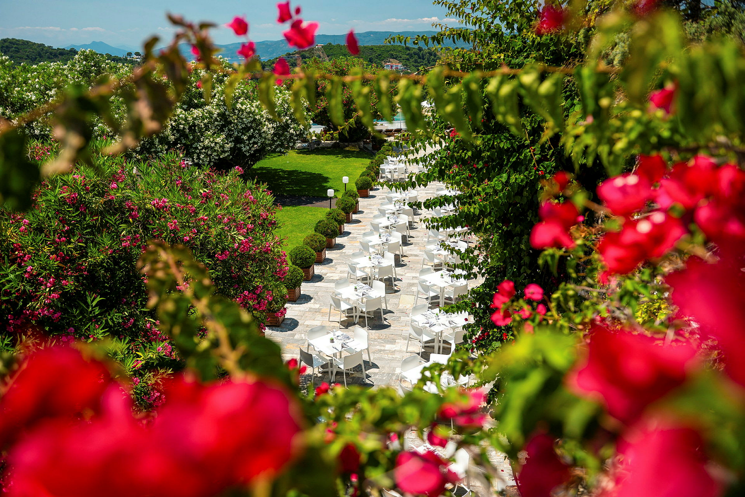 Udendørsrestaurant omgivet af frodig bevoksning og farverige blomster. (AI-genereret tekst)