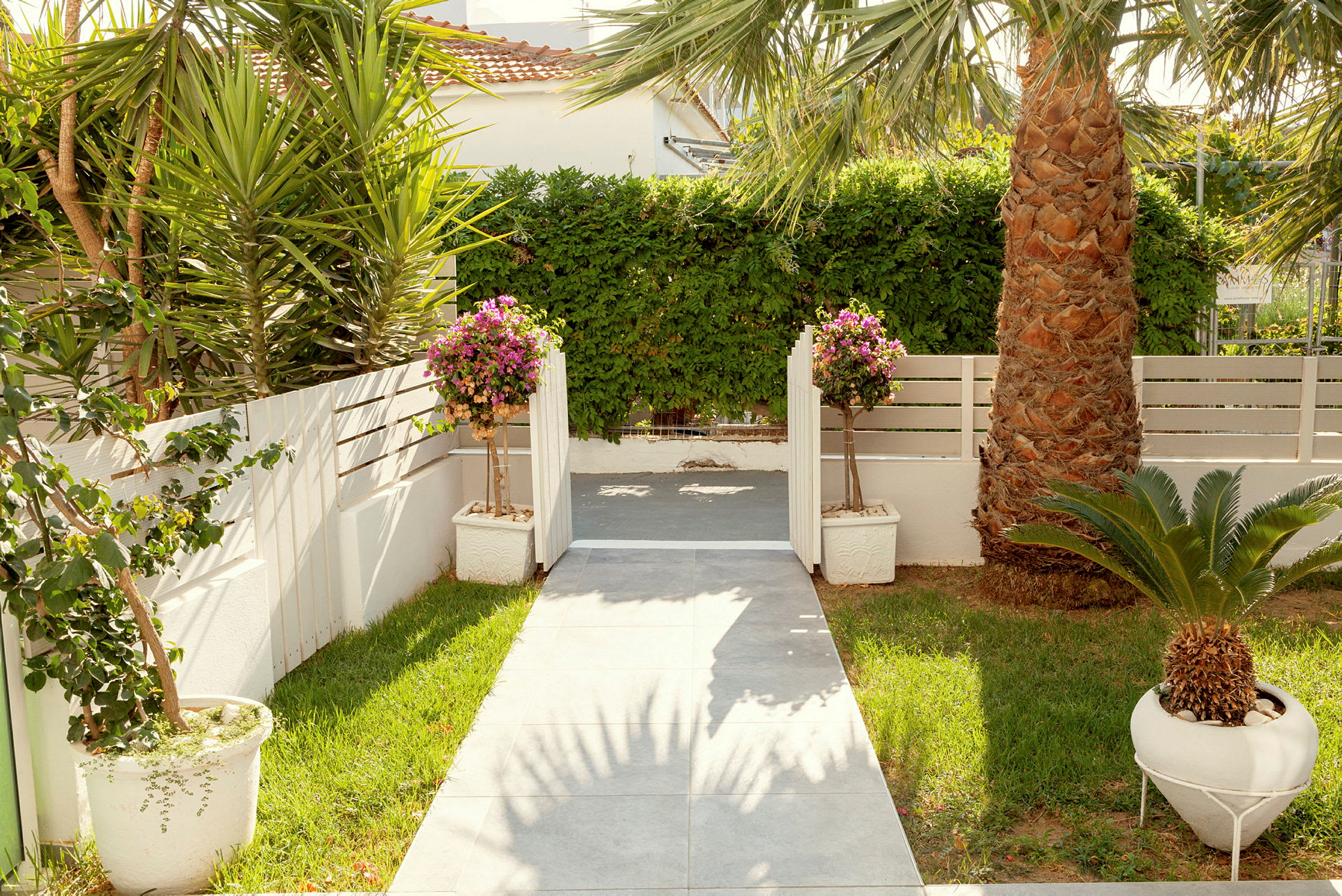 Indgangsti med potteplanter og palmer, omgivet af græsplæne og hvidt hegn. (AI-genereret tekst)