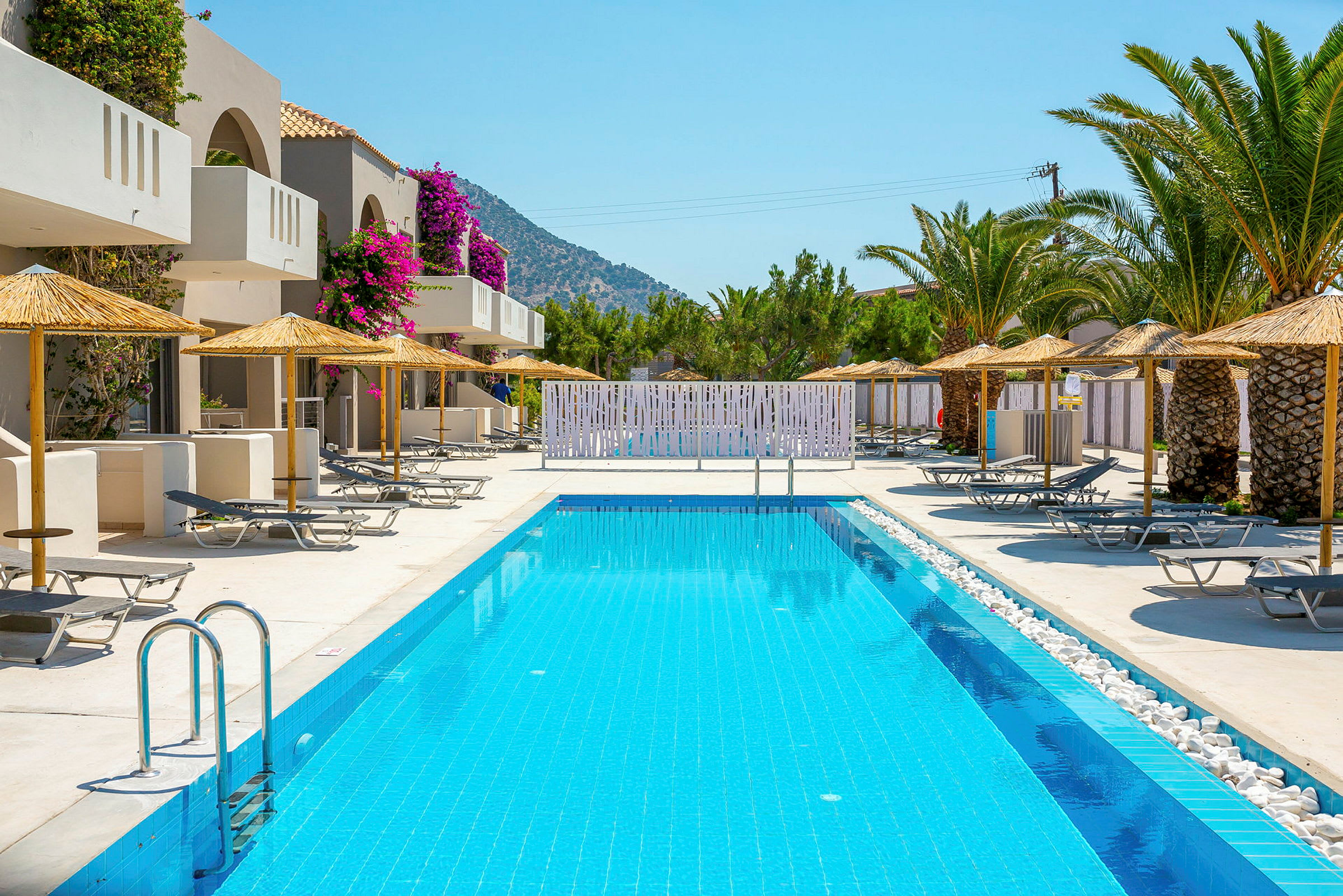En lang pool omgivet af liggestole og parasoller ved et hotel med palmer og blomster. (AI-genereret tekst)