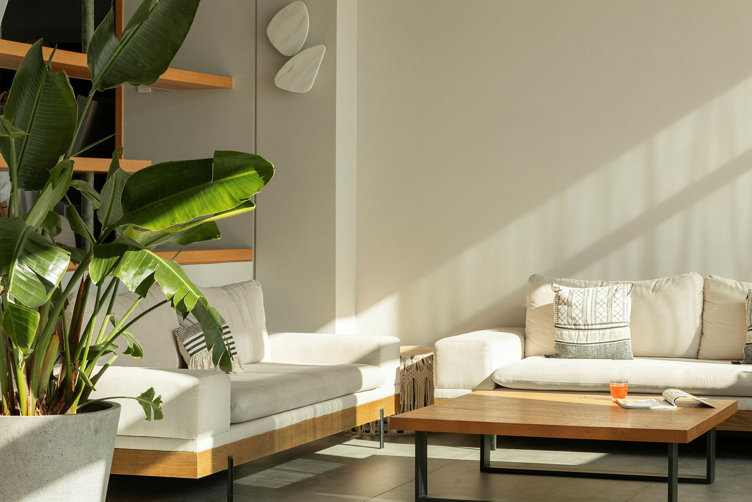 En stue med sofaer, et sofabord, en stor indendørs plante og hylder på væggen. (AI-genereret tekst)