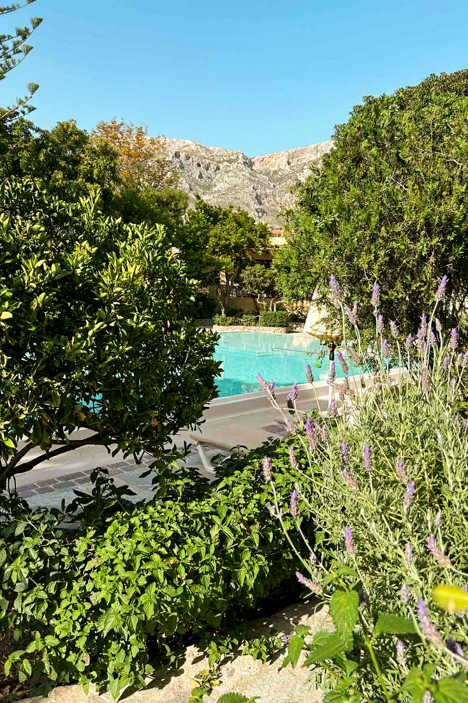 En frodig have med lavendel og buske ved en udendørs pool. En bjergkæde ses i baggrunden. (AI-genereret tekst)