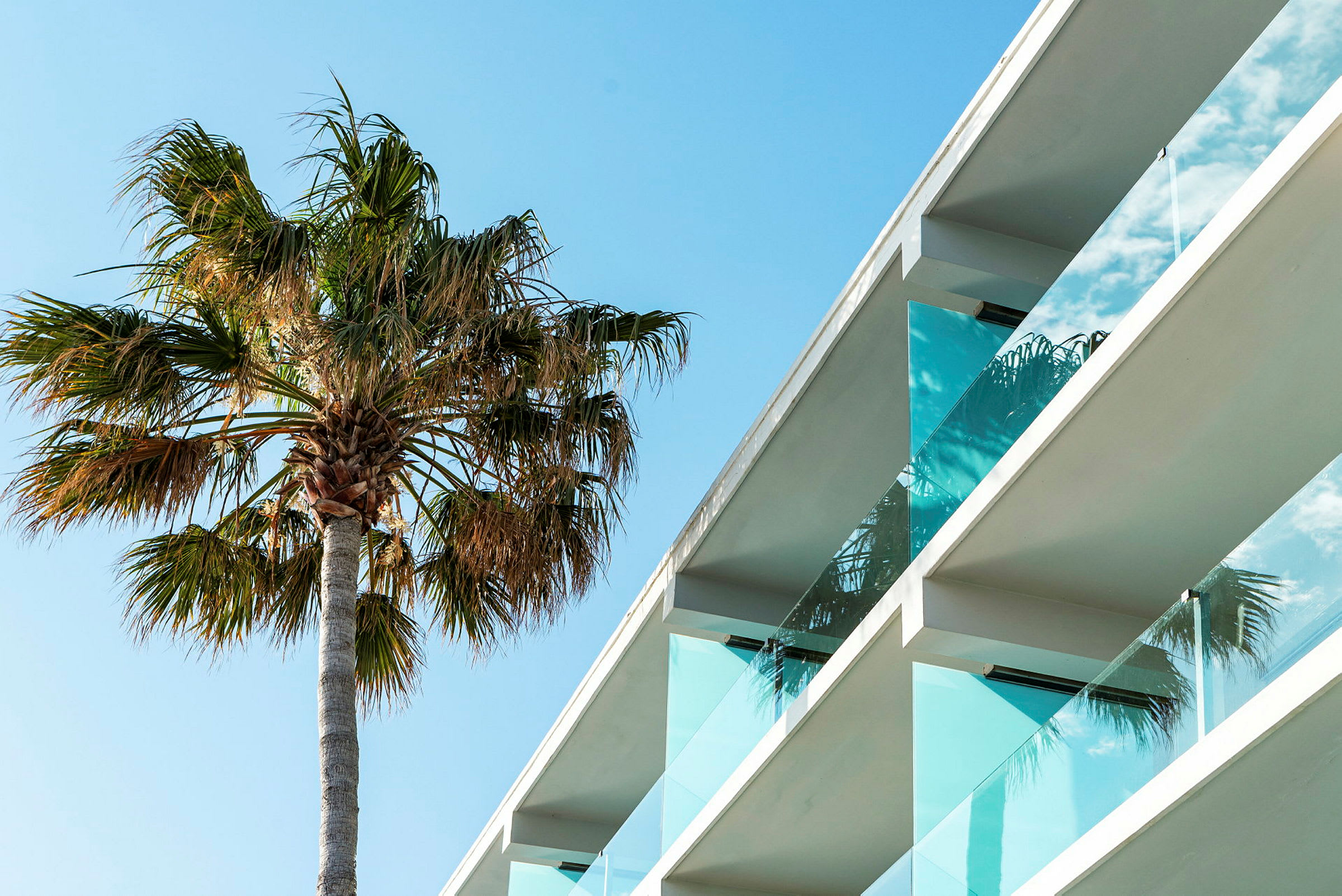 Billede af en moderne bygning med glasaltaner ved siden af en palme under en klar blå himmel. (AI-genereret tekst)