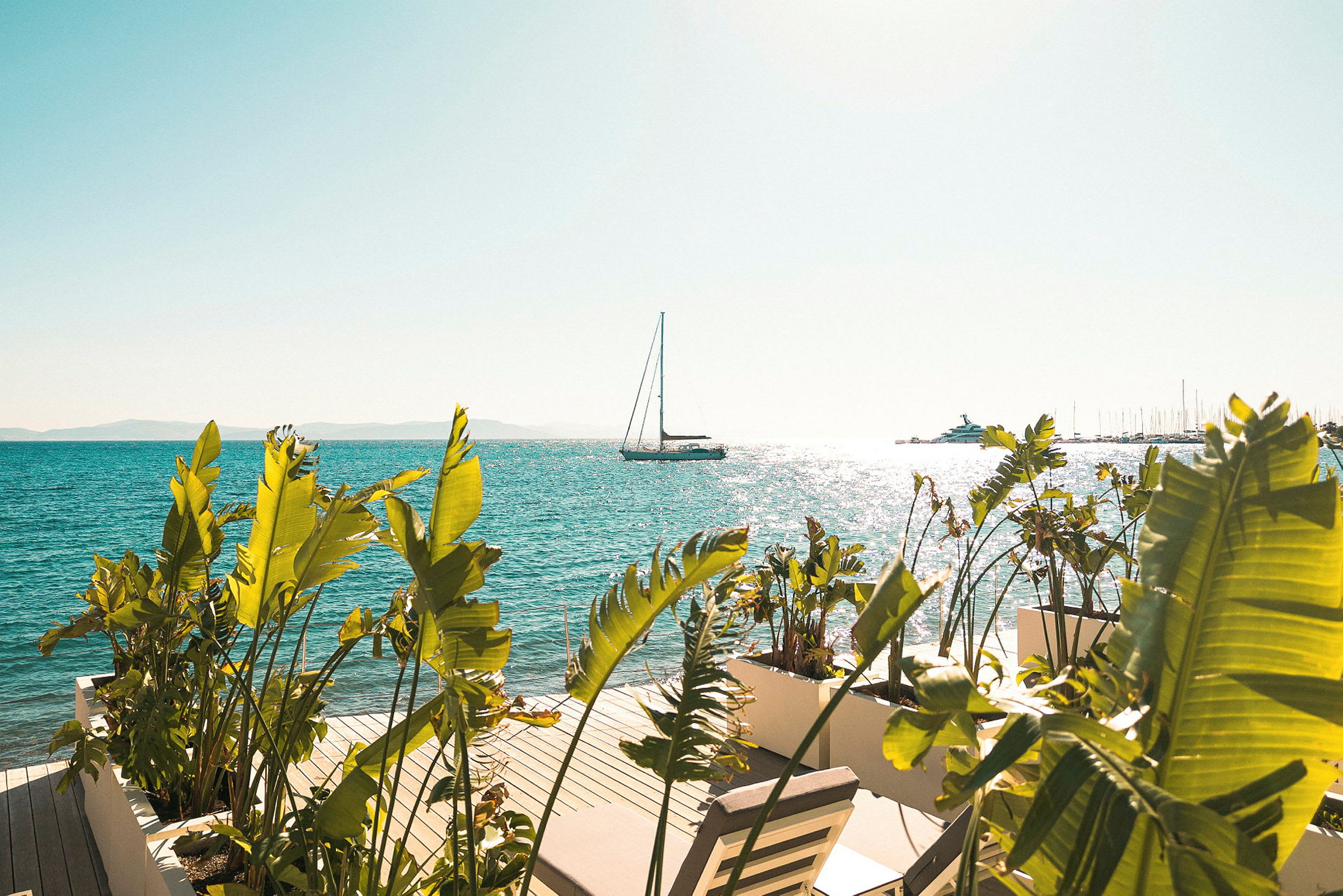 En sejlbåd på havet ses i baggrunden med solglimt på vandets overflade, mens grønne planter og en terrasse med liggestole er i forgrunden. (AI-genereret tekst)
