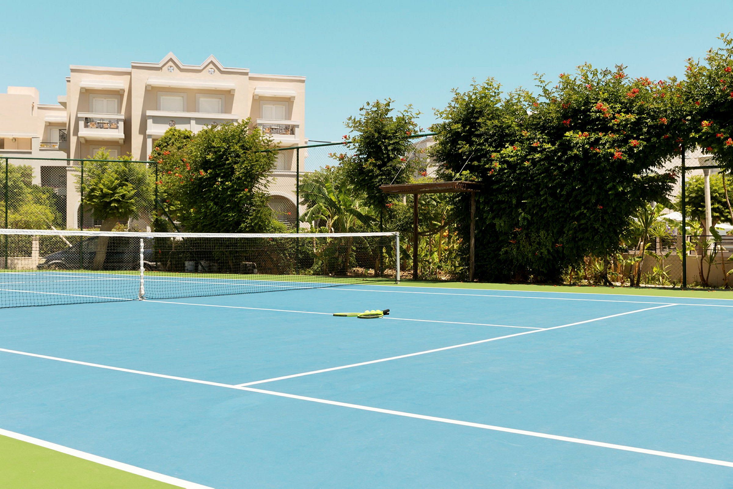 En tennisbane med et net og grønne planter omkring. (AI-genereret tekst)