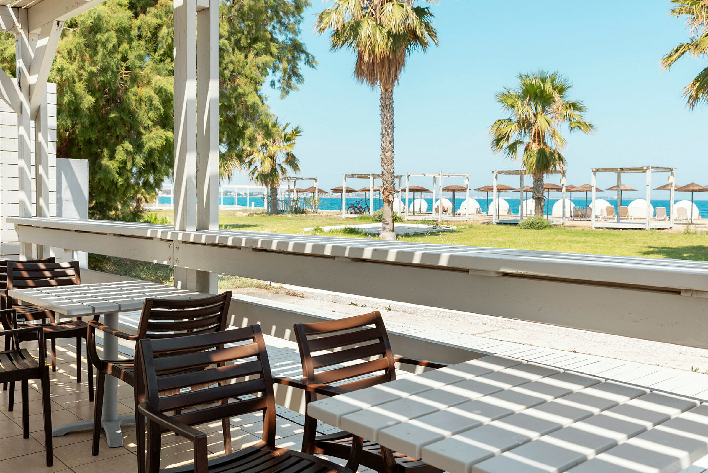 En terrasse med borde og stole, med udsigt over en grøn græsplæne, palmer og stranden i baggrunden. (AI-genereret tekst)