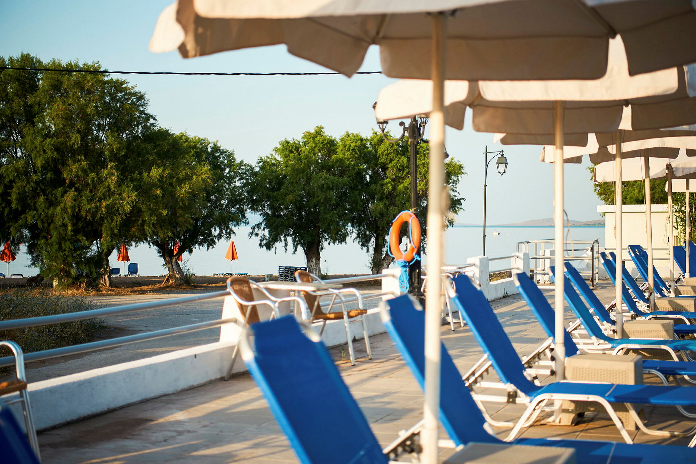 Blå solvogne under parasoller på en terrasse tæt på en vej med træer og strand i baggrunden. (AI-genereret tekst)