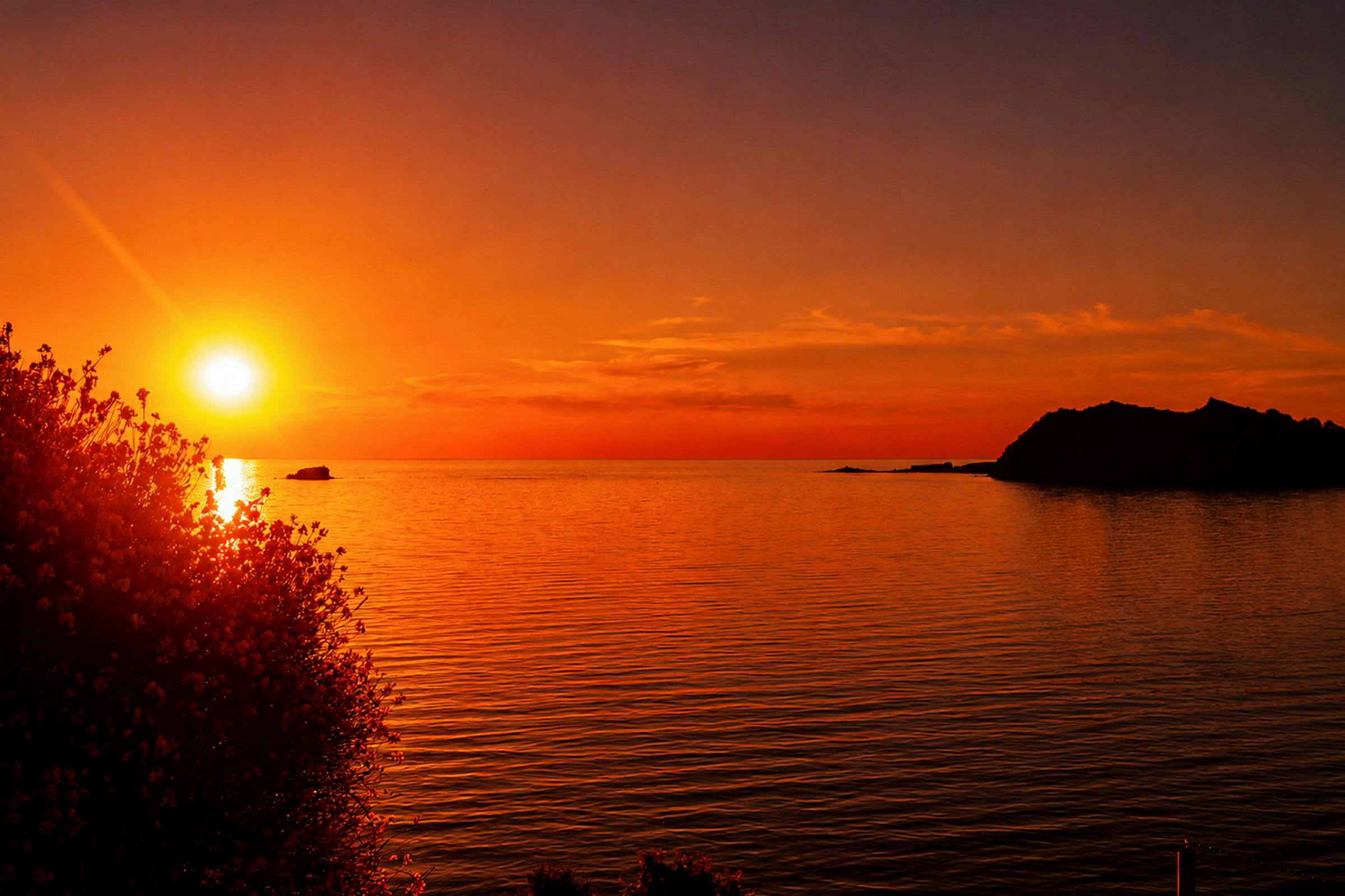 Solnedgang over havet med en busk til venstre og klipper i horisonten. (AI-genereret tekst)