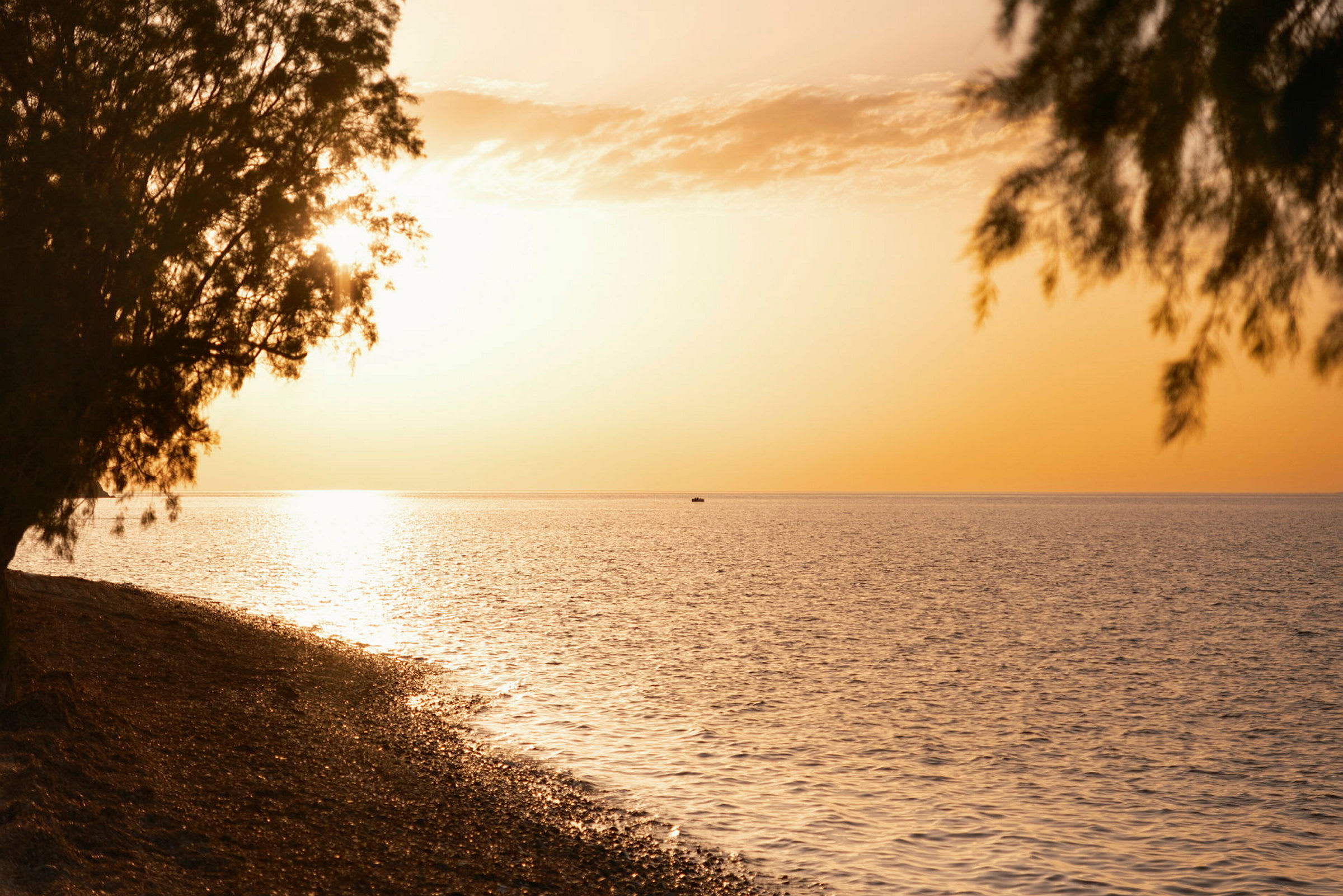 Solnedgang over havet med trægrene i forgrunden. (AI-genereret tekst)