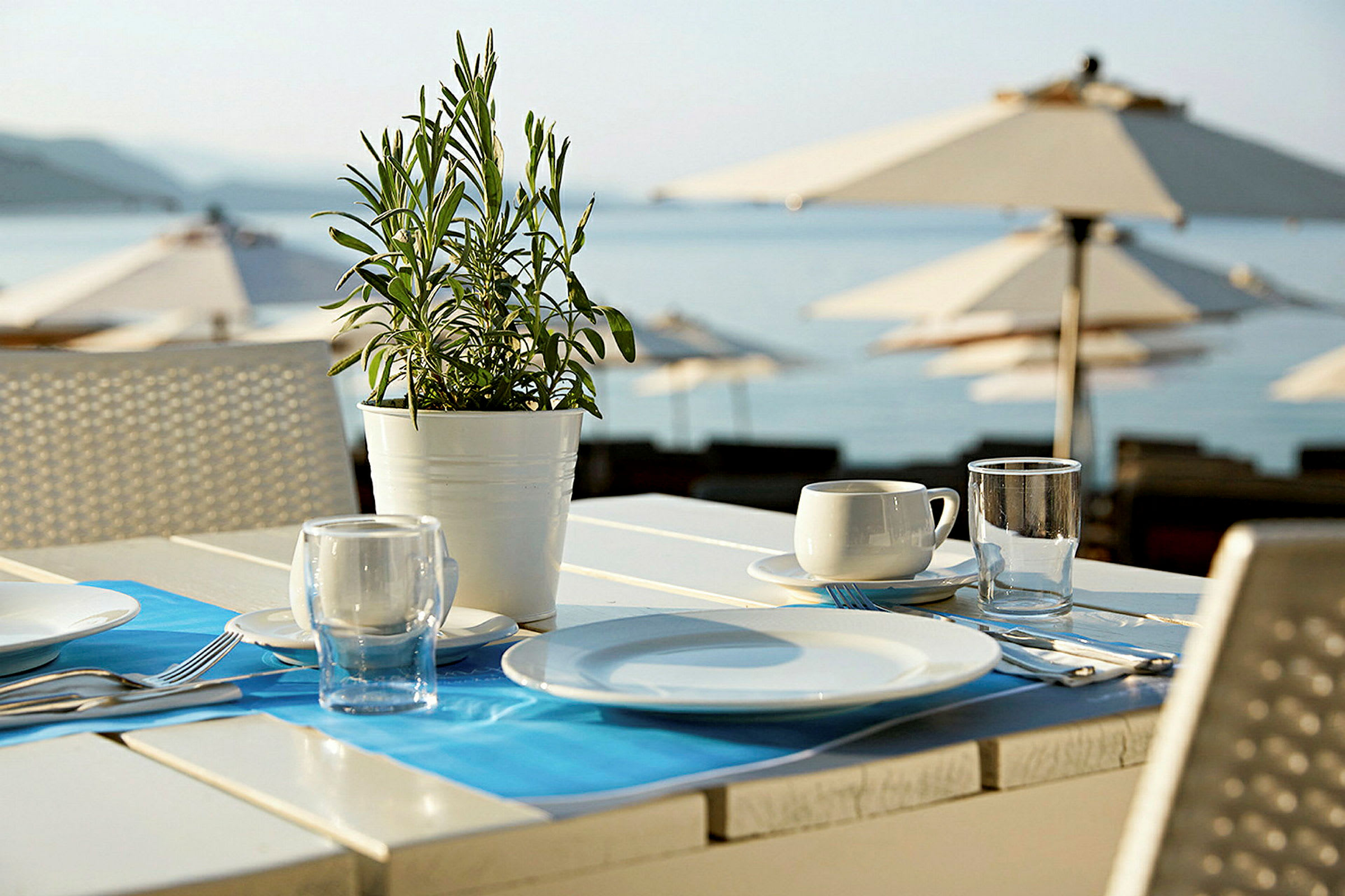 Billede af et dækket bord med tallerkener, glas og en borddekoration i form af en plante på en restaurant ved stranden. (AI-genereret tekst)