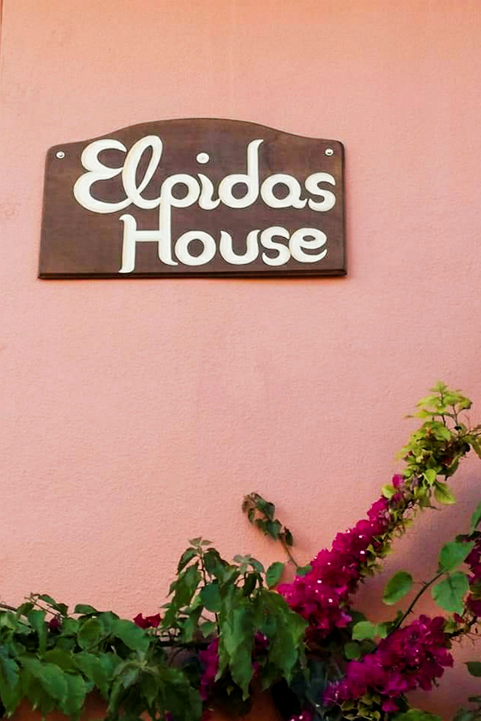 Et skilt med teksten 'Elpidas House' fastgjort på en lyserød væg over en blomstrende plante. (AI-genereret tekst)