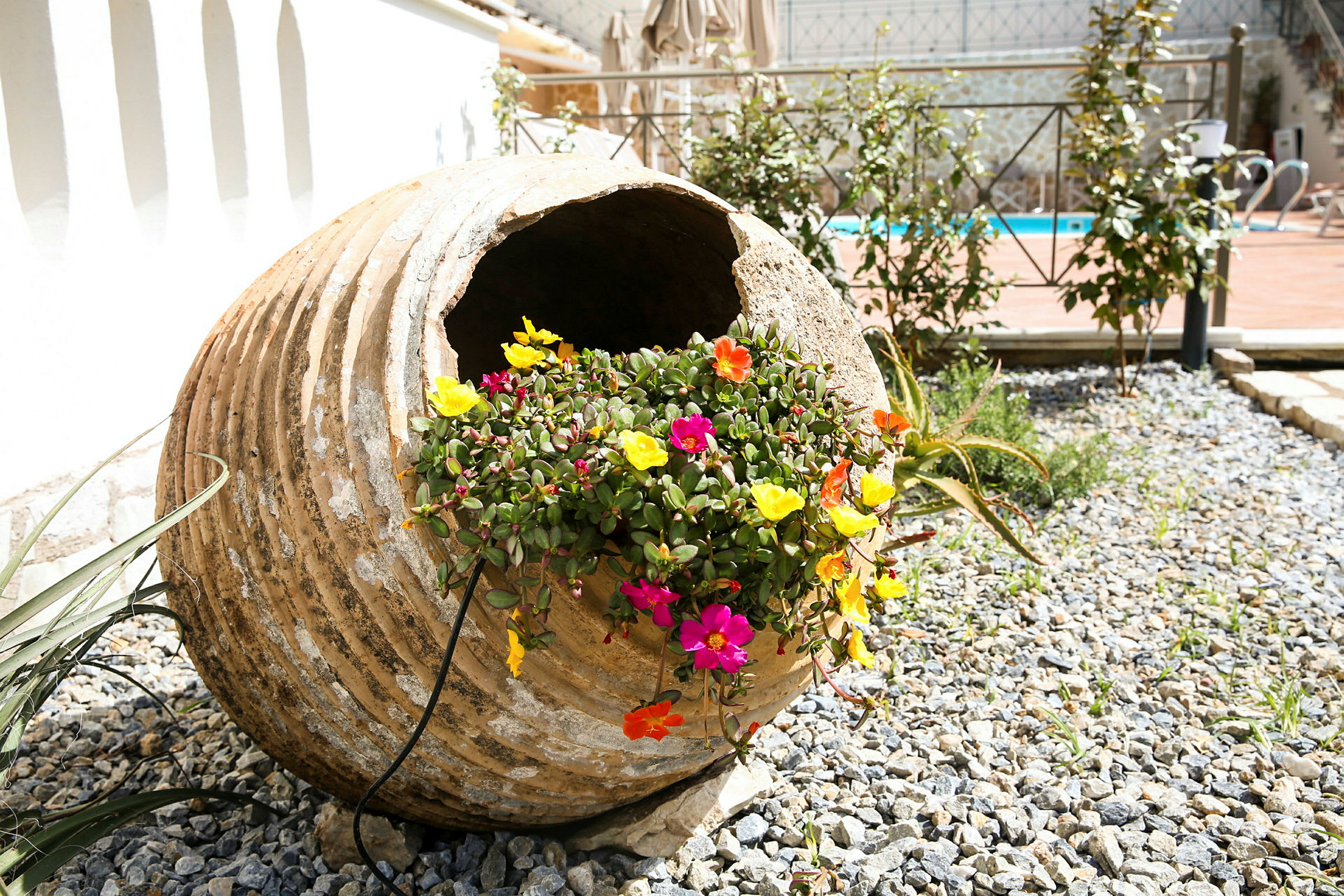 Stor terrakottakrukke fyldt med farverige blomster på en grusplads. (AI-genereret tekst)