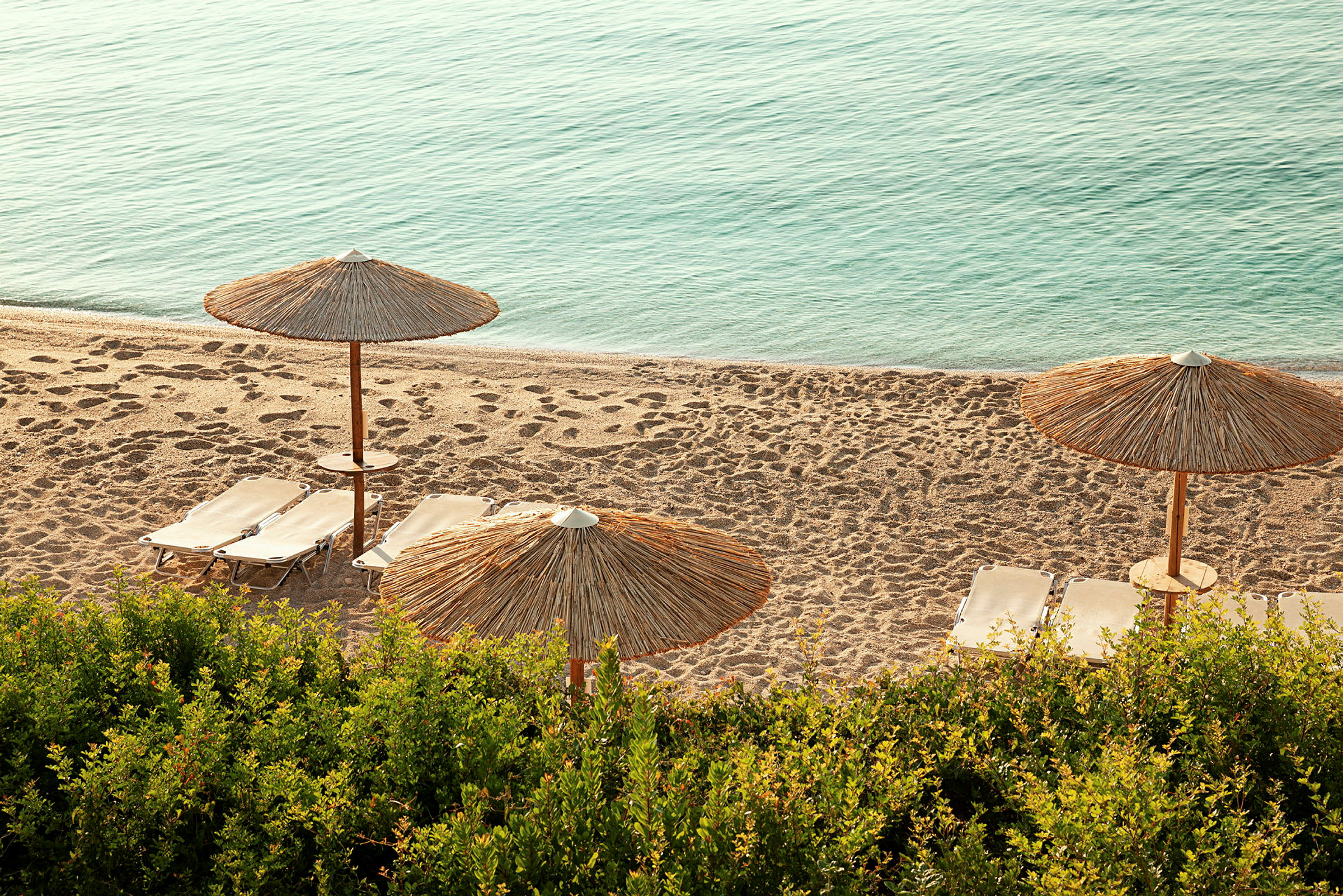 Fotografi af en strand med haveagtig vegetation i forgrunden, parasoller og liggestole på sanden ved siden af havet. (AI-genereret tekst)