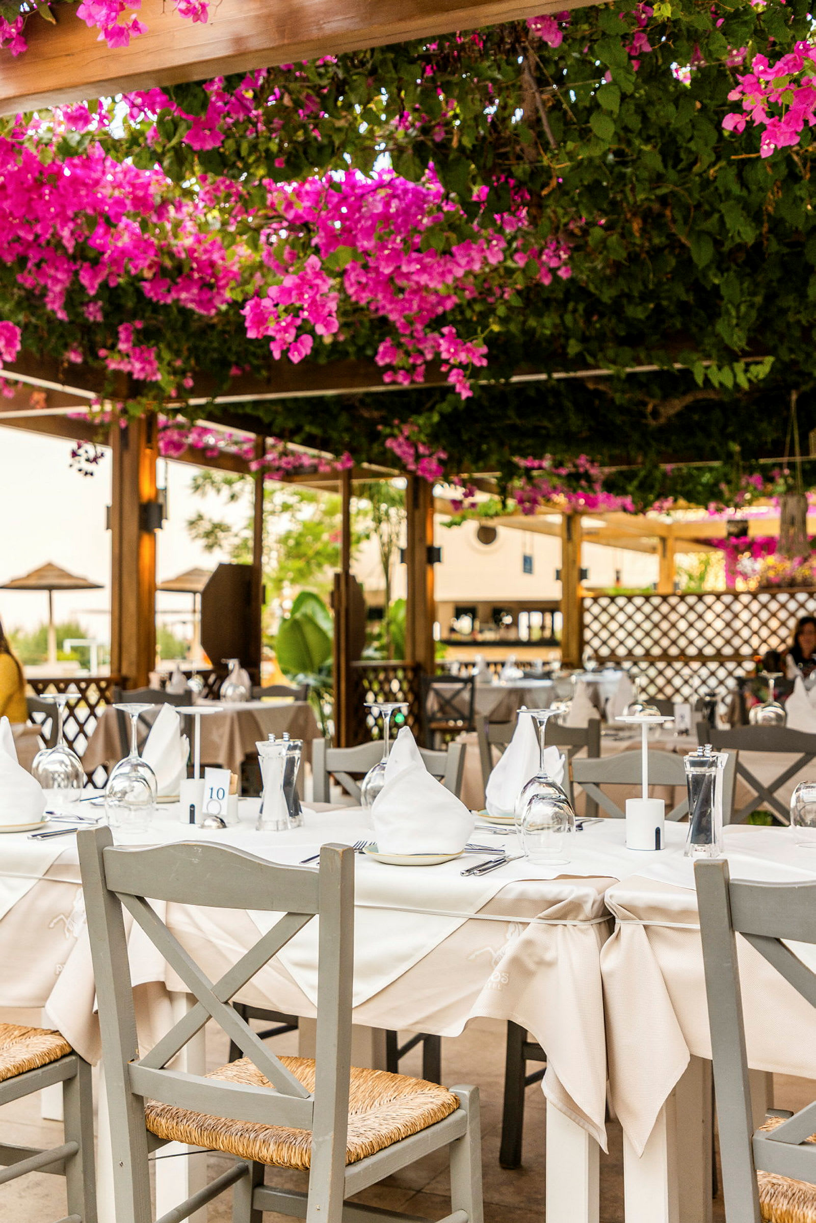 En udendørsrestaurant med borde dækket med hvide duge og omgivet af bougainvillea-blomster, der hænger fra loftet. (AI-genereret tekst)