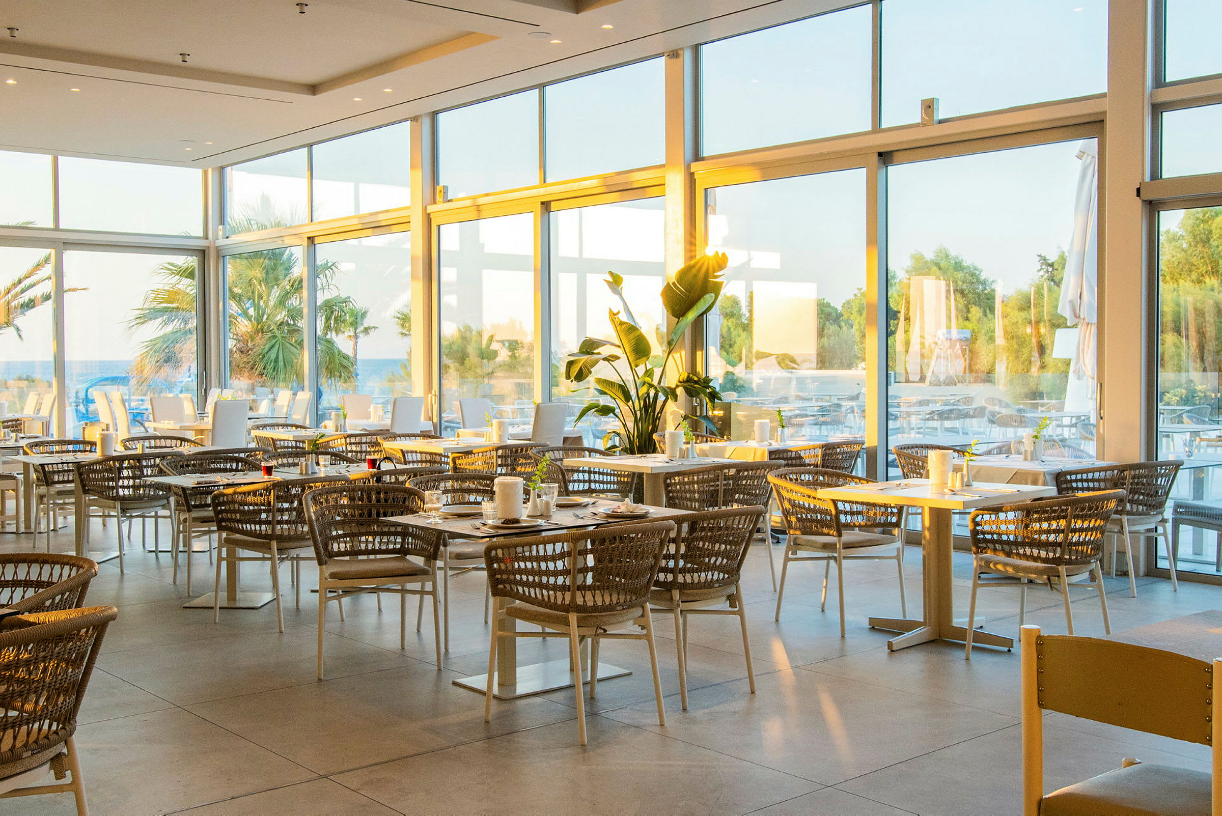 En moderne restaurant med gulv-til-loft vinduer, der vender ud mod en udendørs terrasse med palmer i baggrunden. (AI-genereret tekst)
