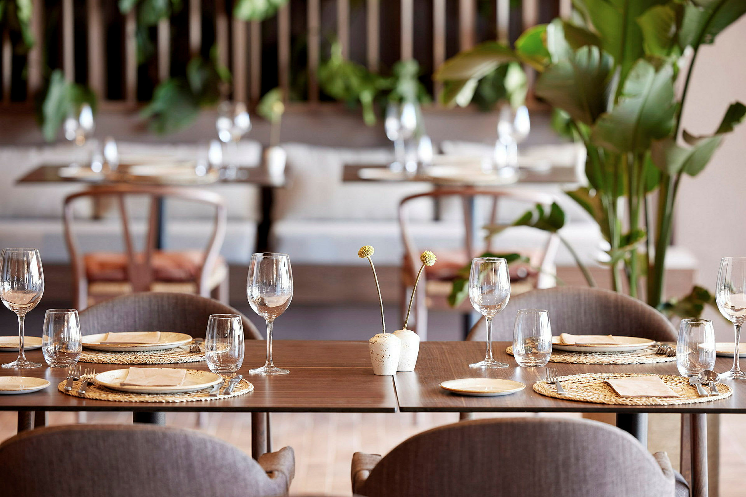 Interiør af en moderne restaurant med dækkede borde, glas og planter. (AI-genereret tekst)